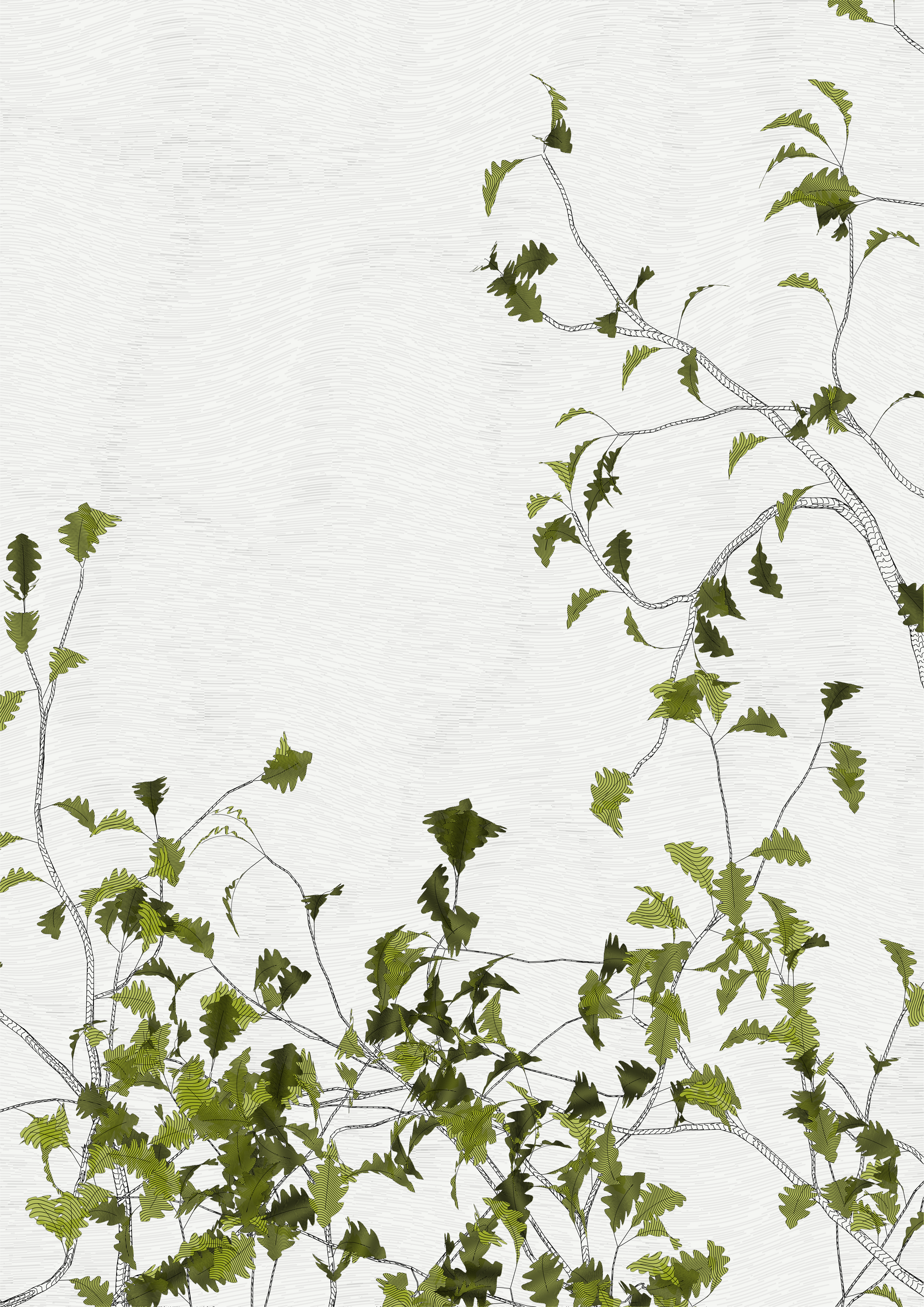 The Oak Tree part #-1,+3