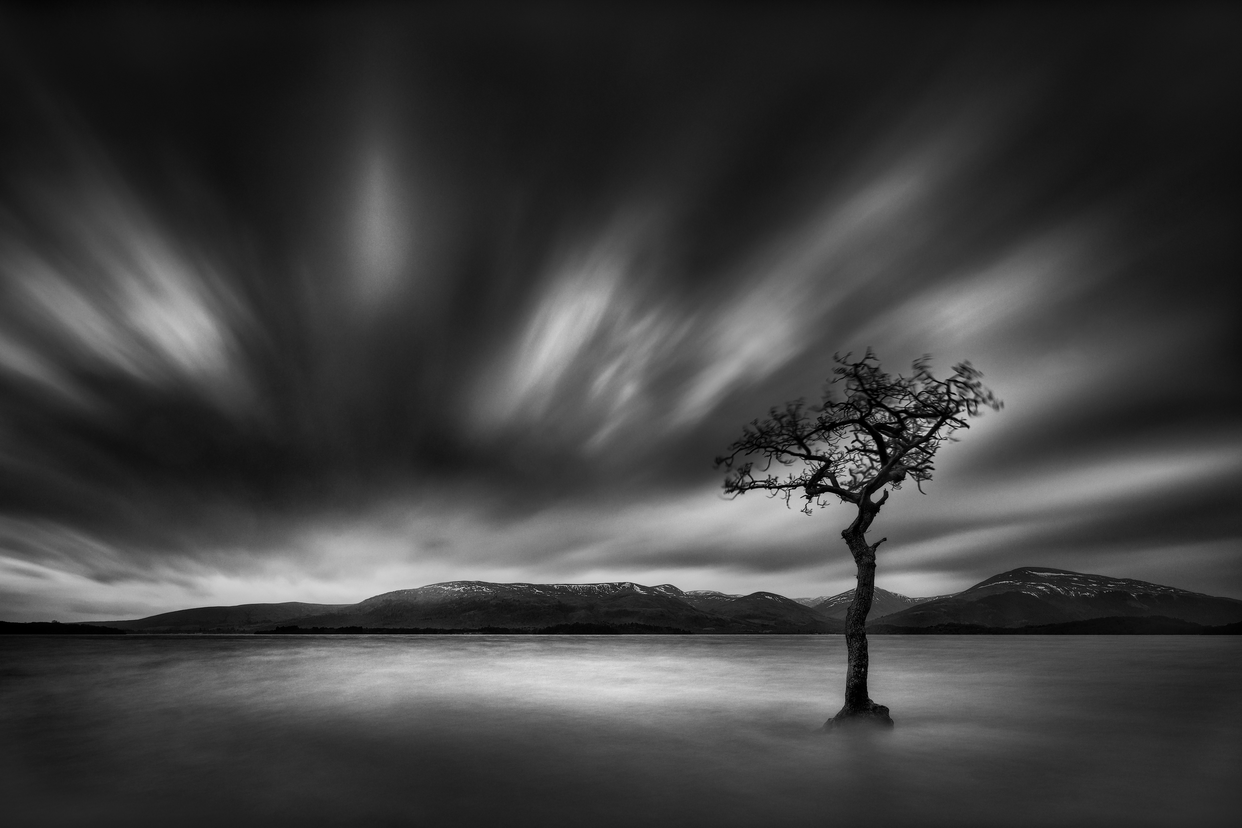 WEATHERING THE STORM