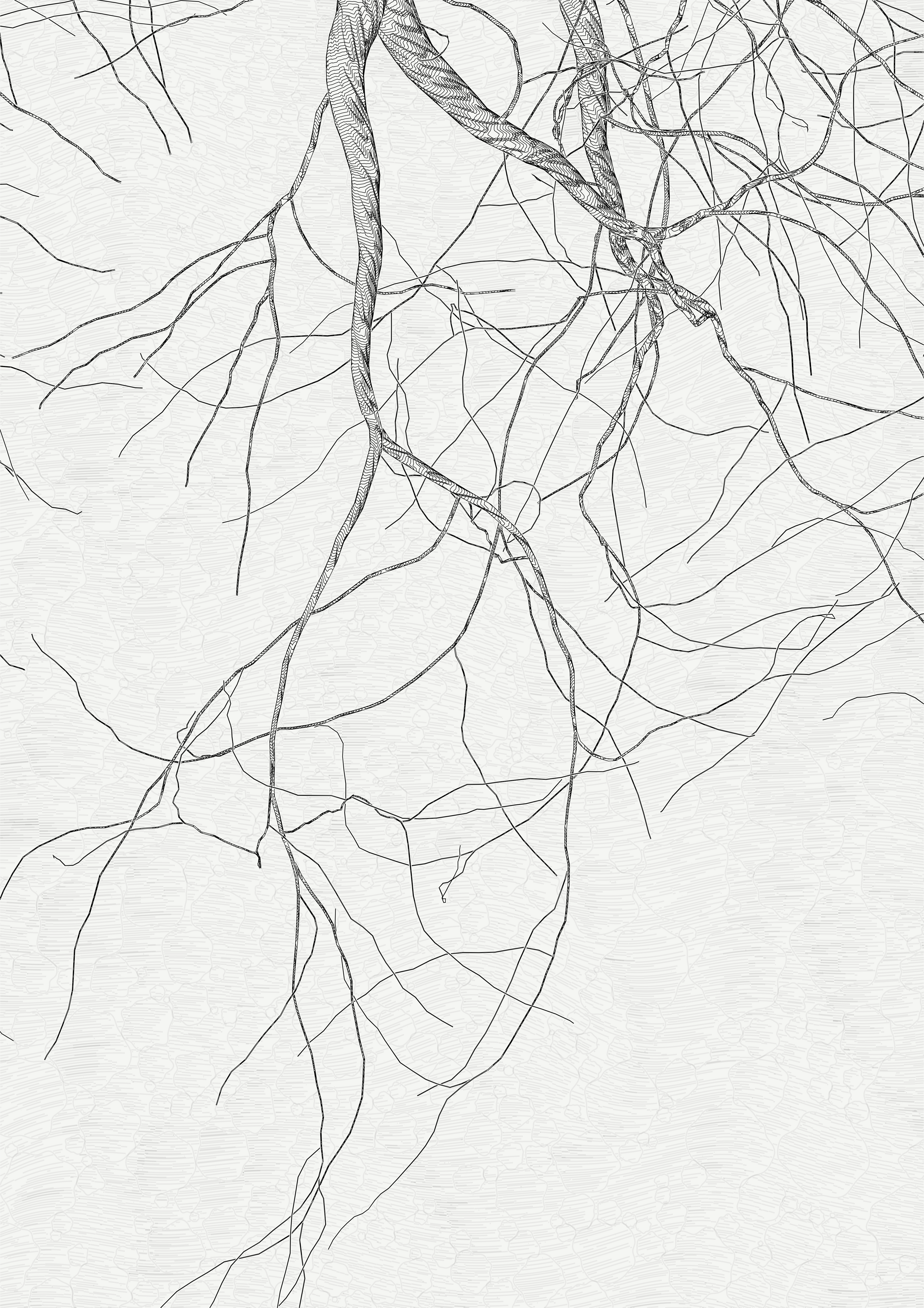 The Oak Tree part #0,-2