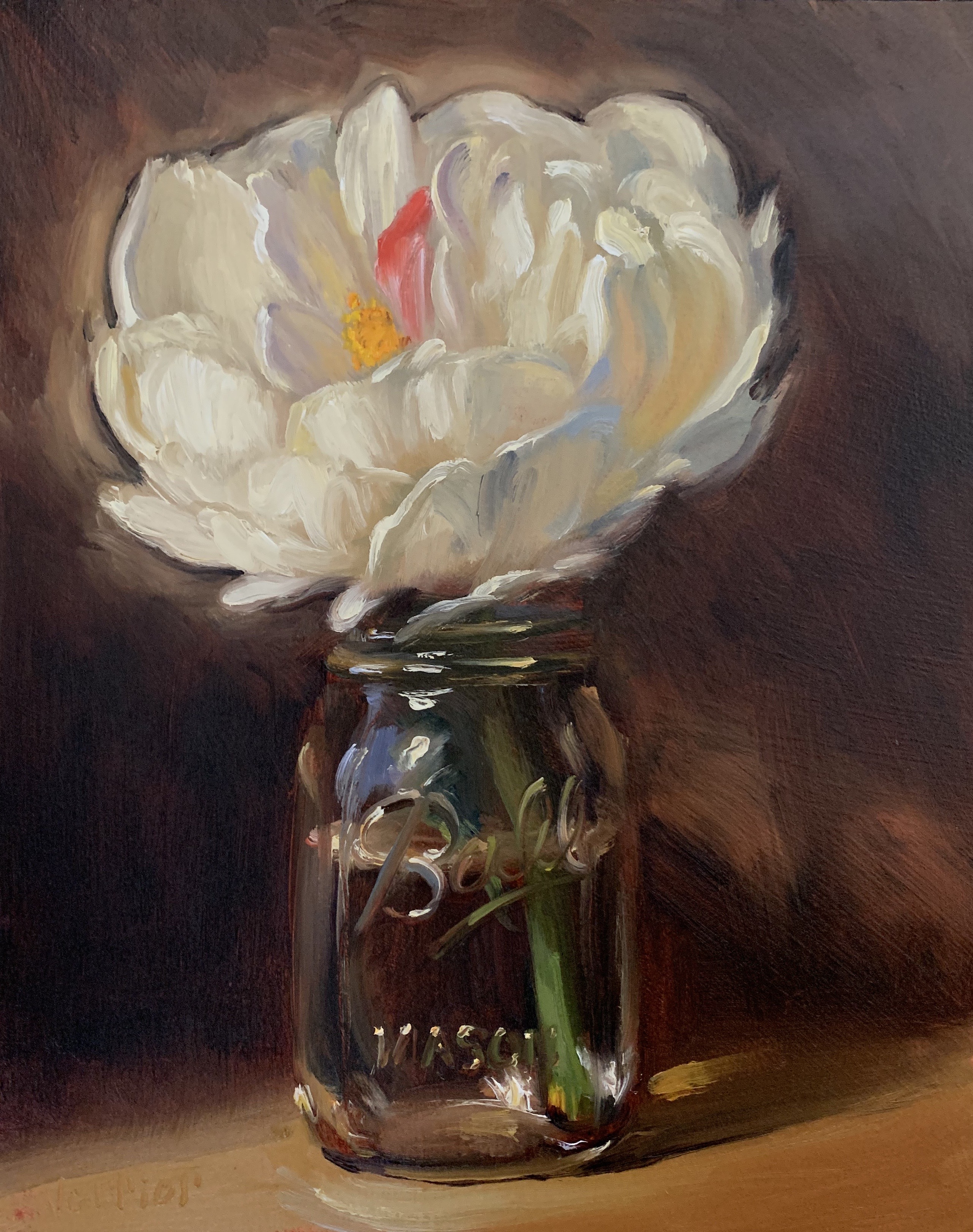 Peony in a Jar
