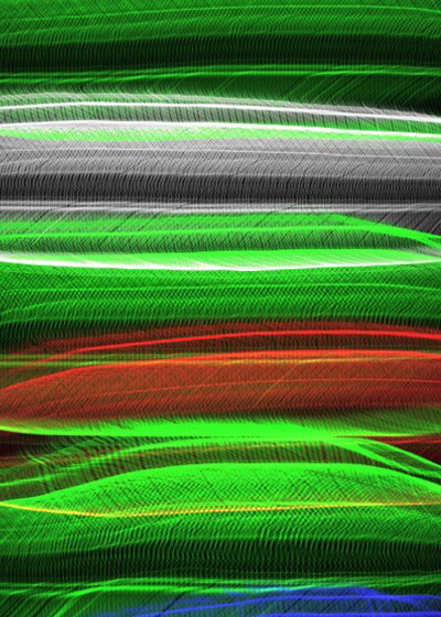 FEATHERSPEPE | Series 26 Card 19