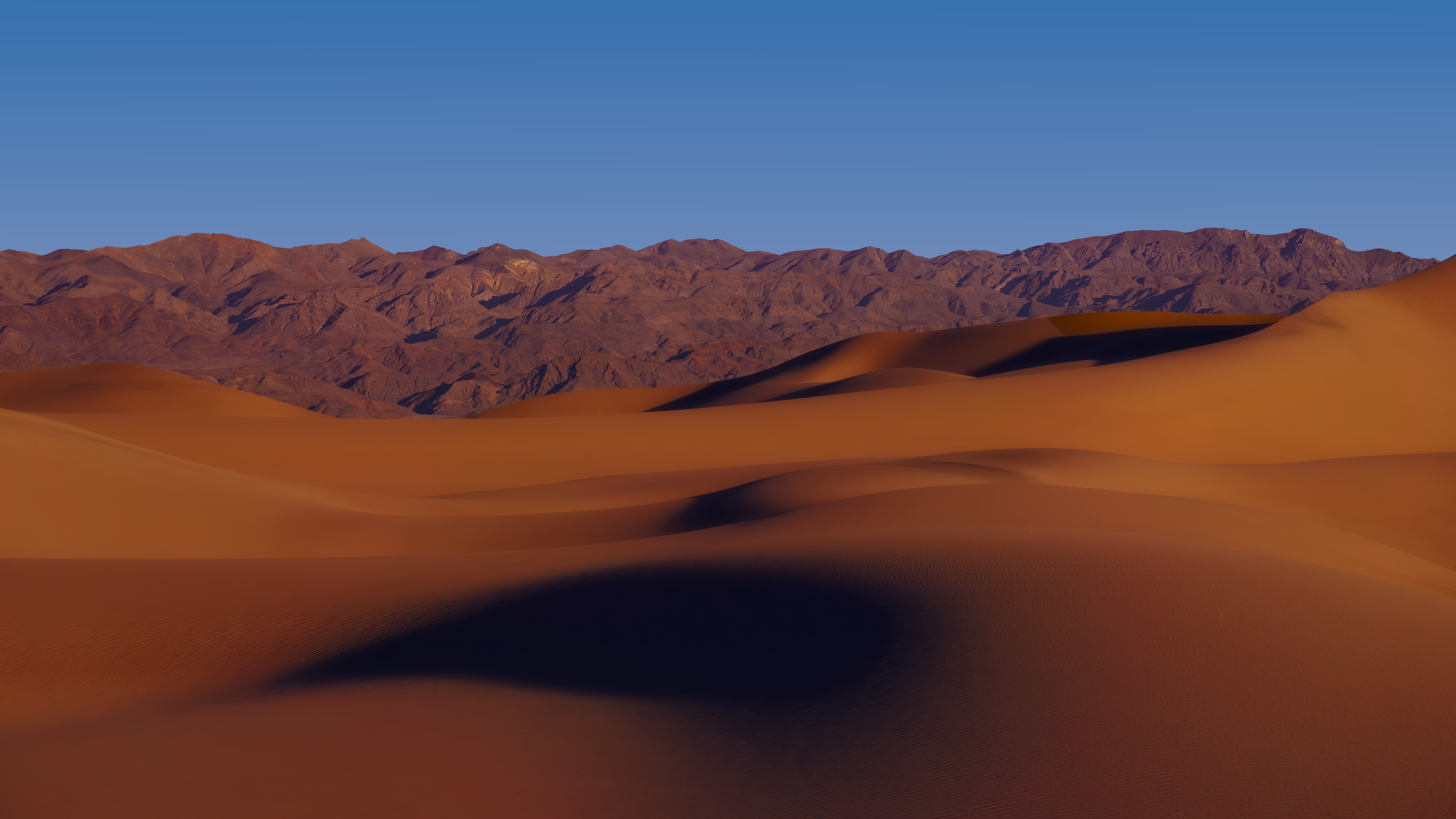 Echoes of the Dying Sun