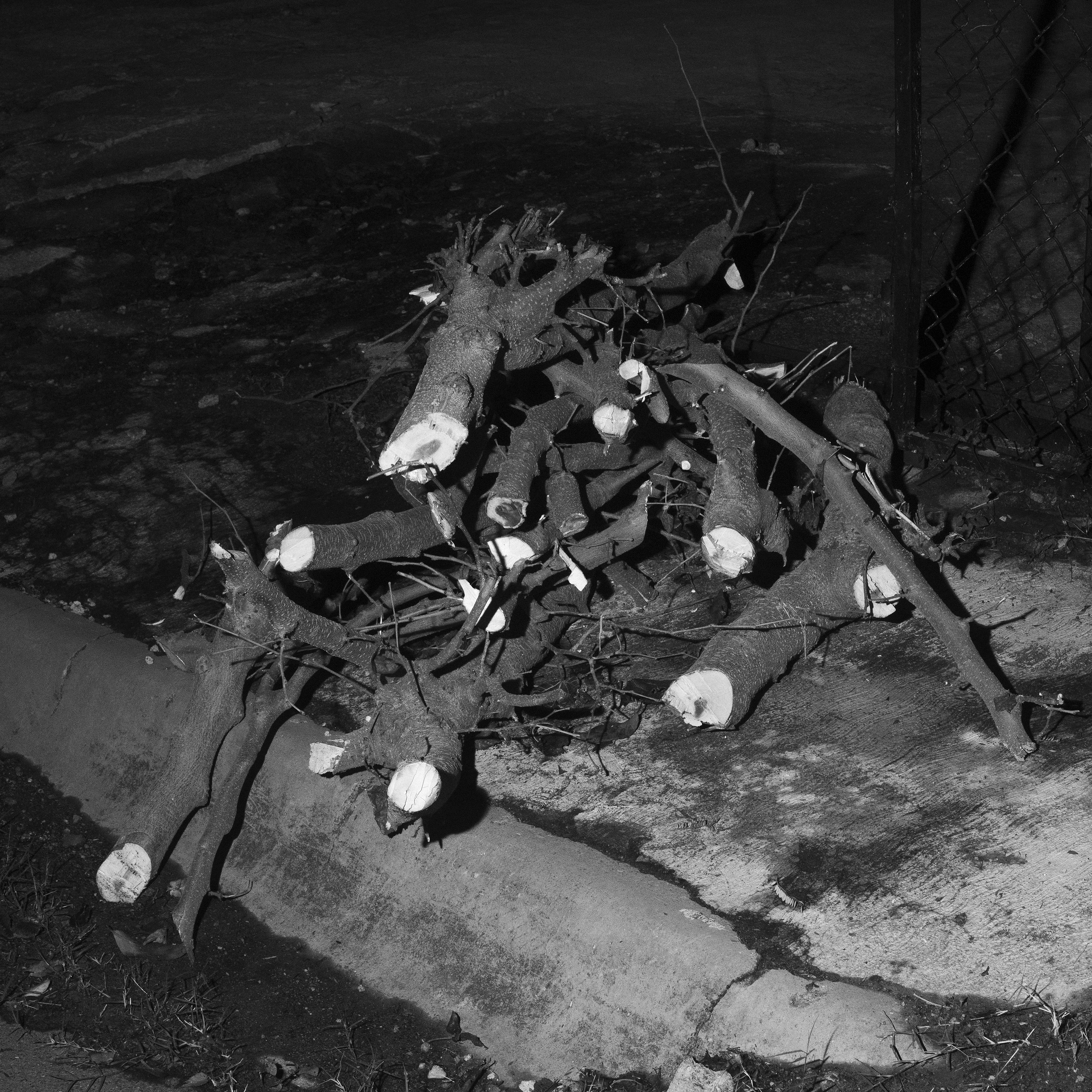 POINT OF ENTRY #16 by Fernando Gallegos