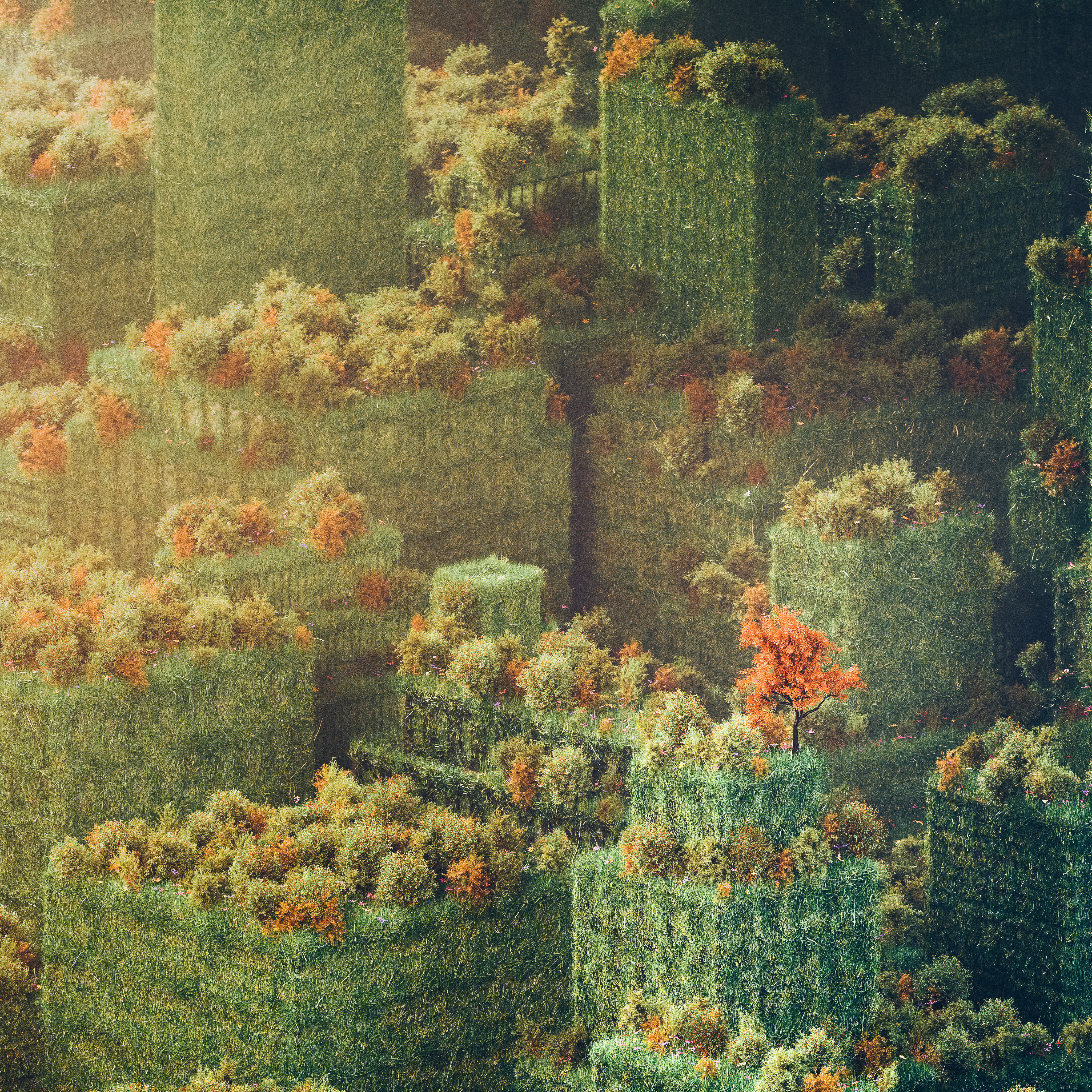 No Tree Grows to the Sky