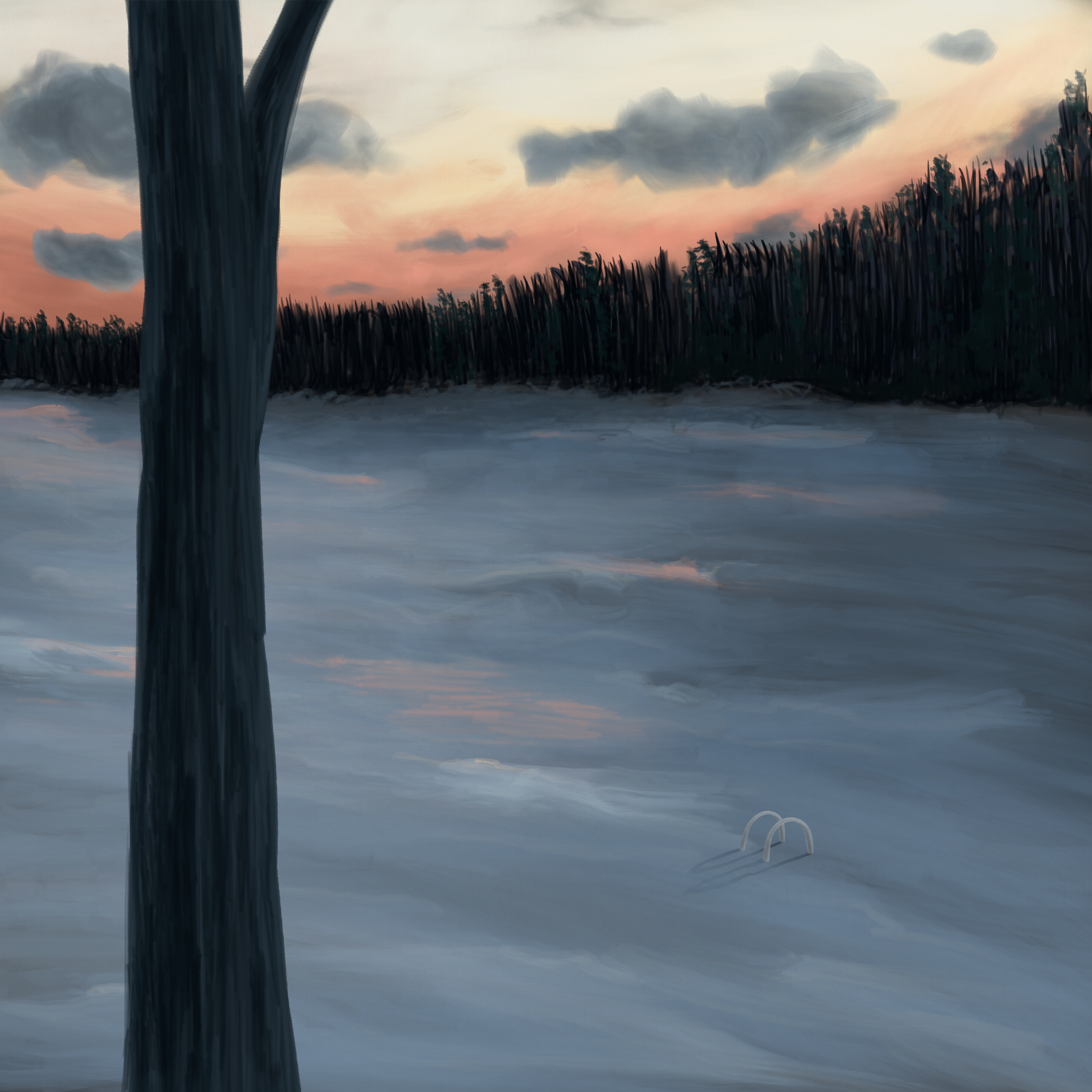 Life Impression 51