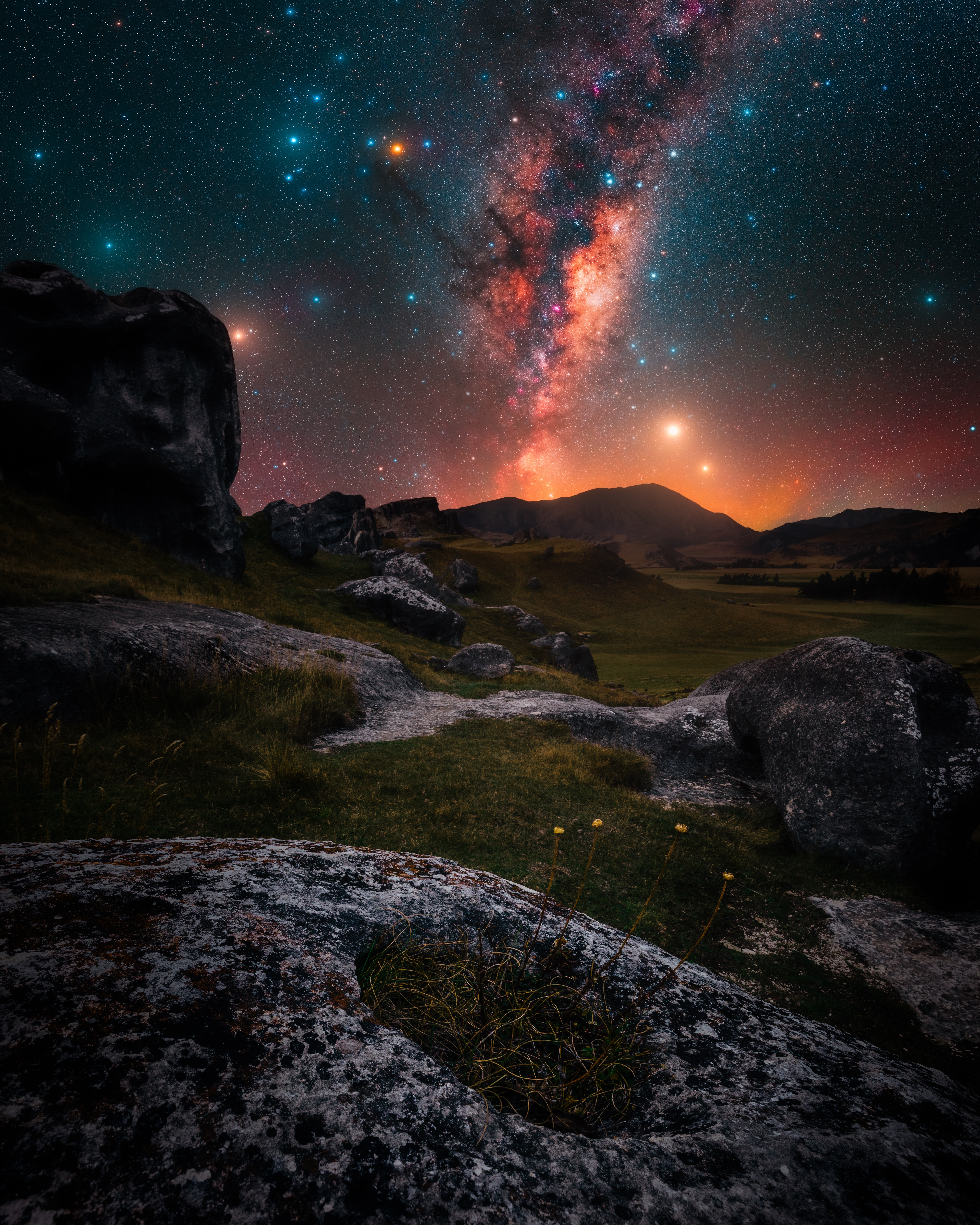 Lucid