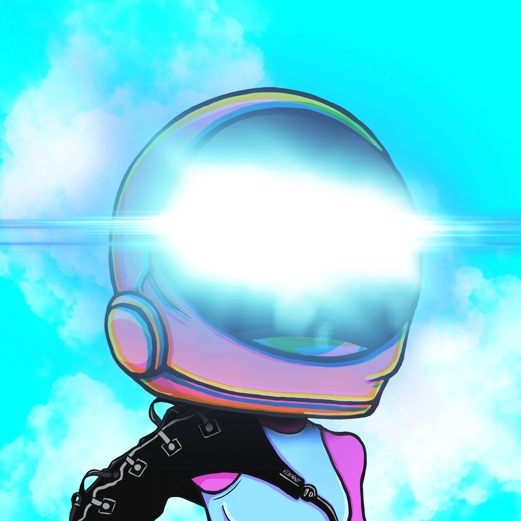 VibeNauts #2691