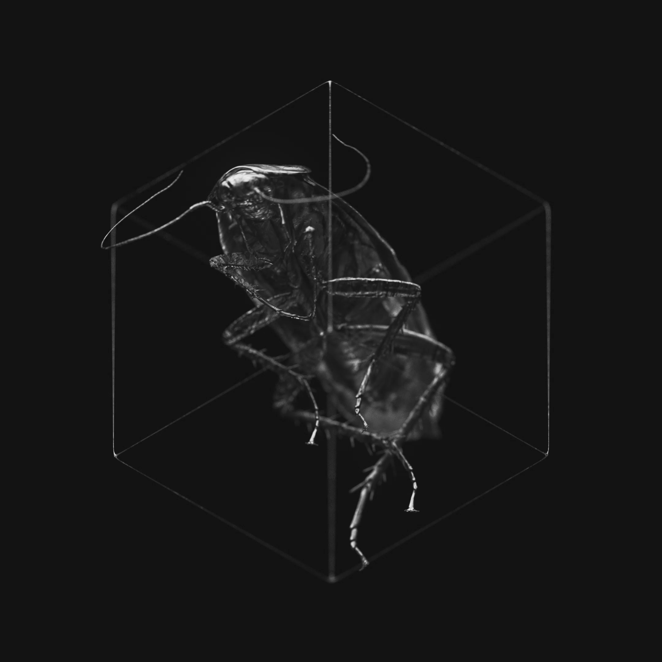 Monstrous Vermin #149