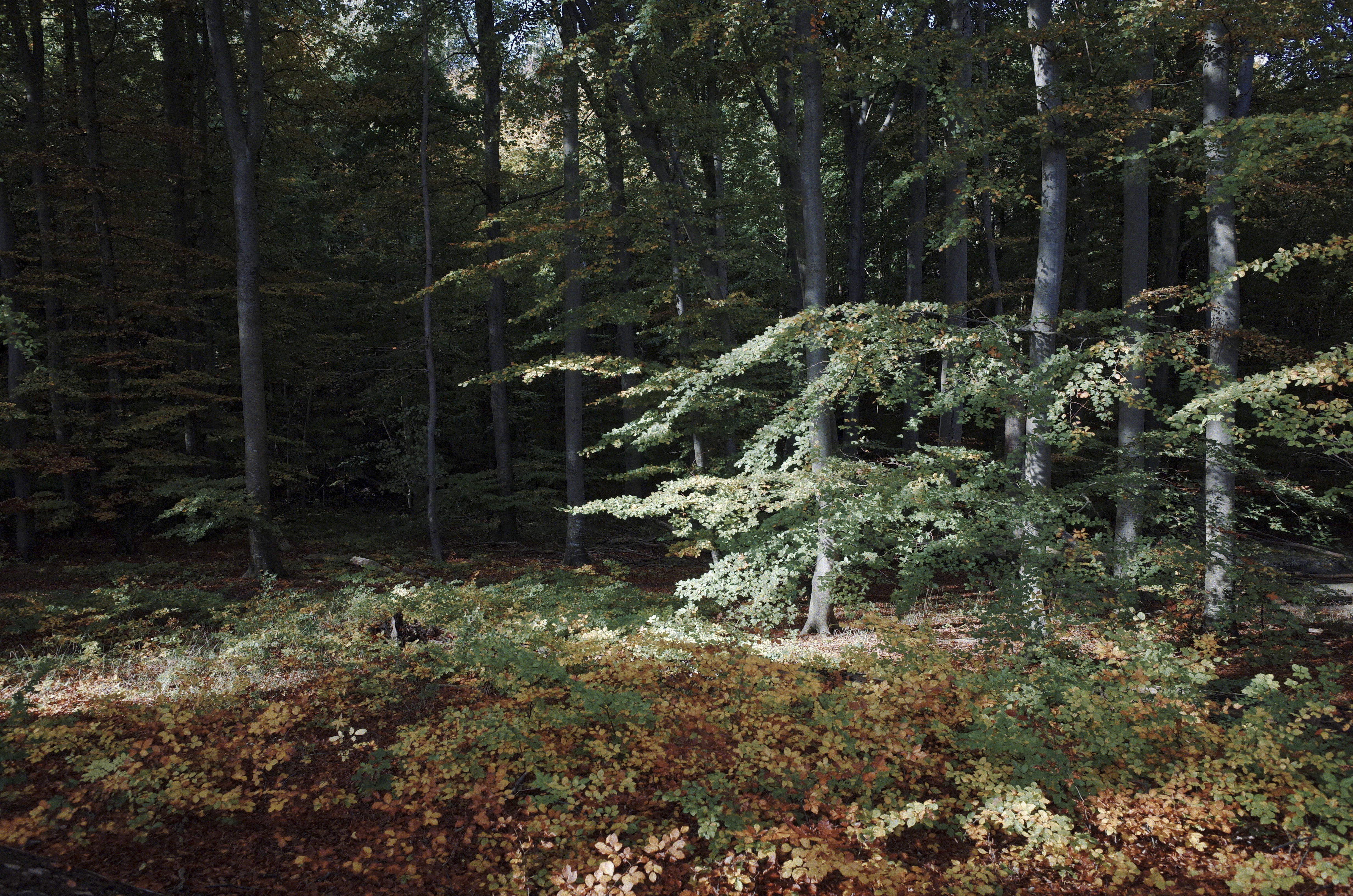 the sun sets its highlight