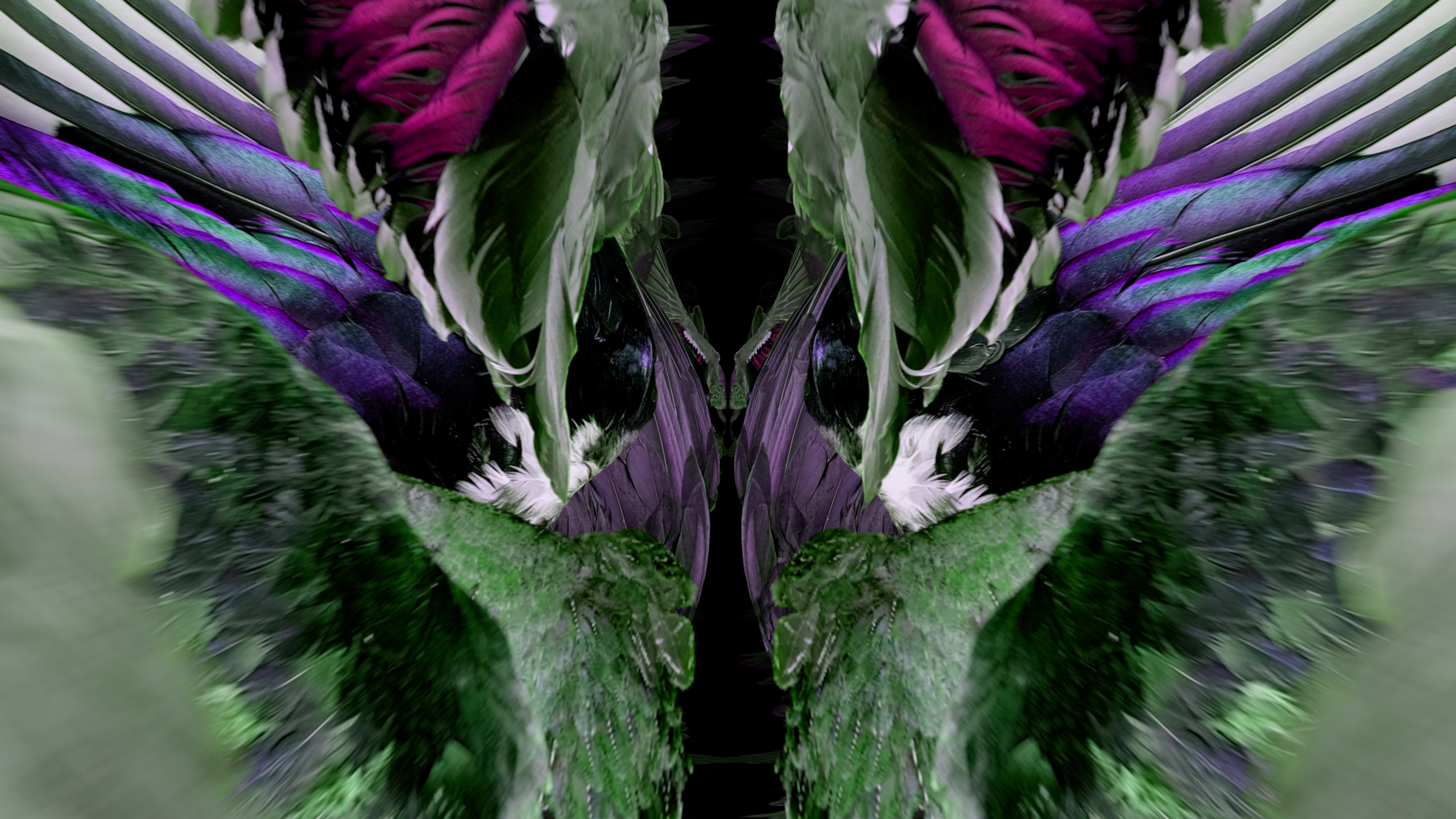 Fuga delle Sirene LXX