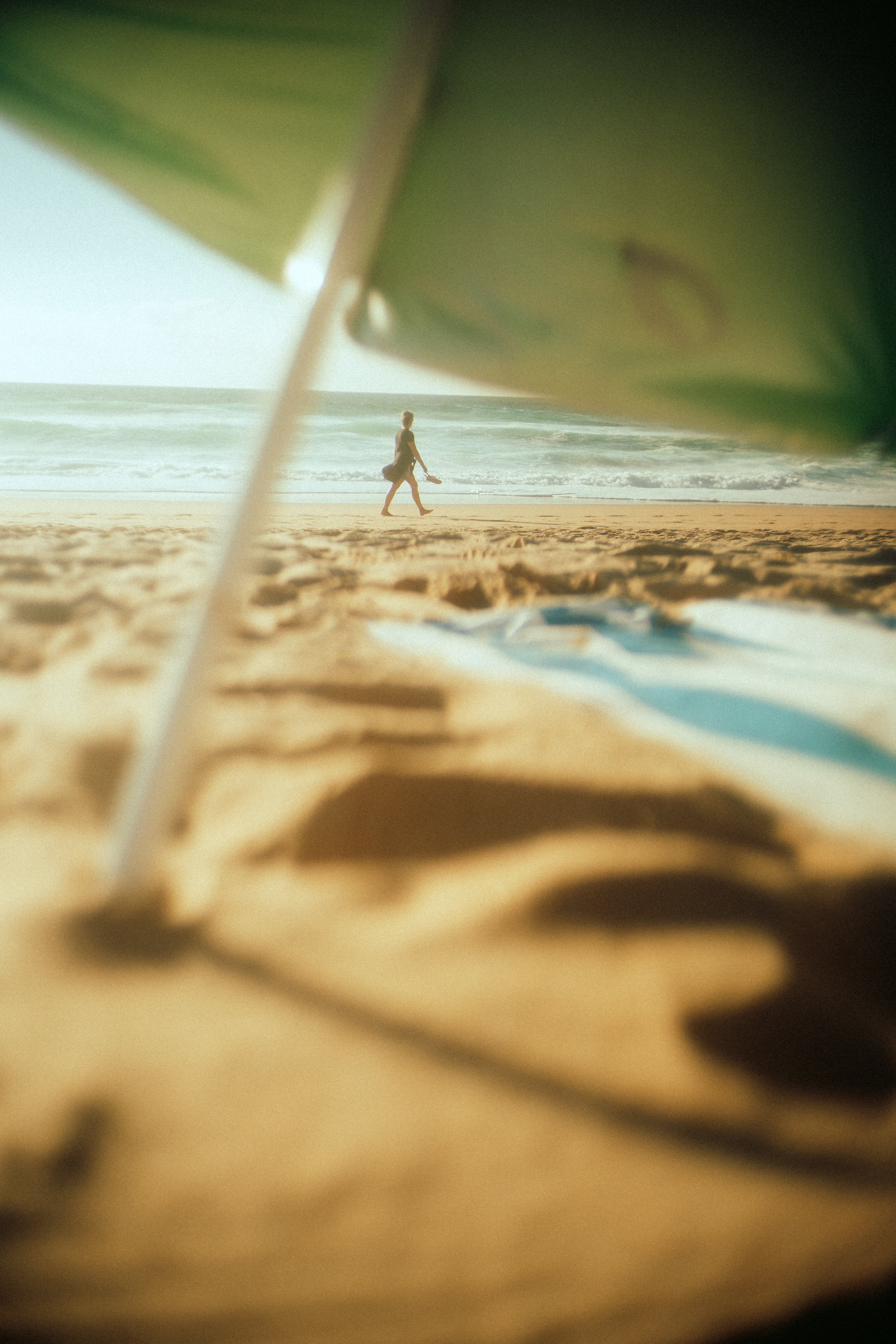 summer dreaming