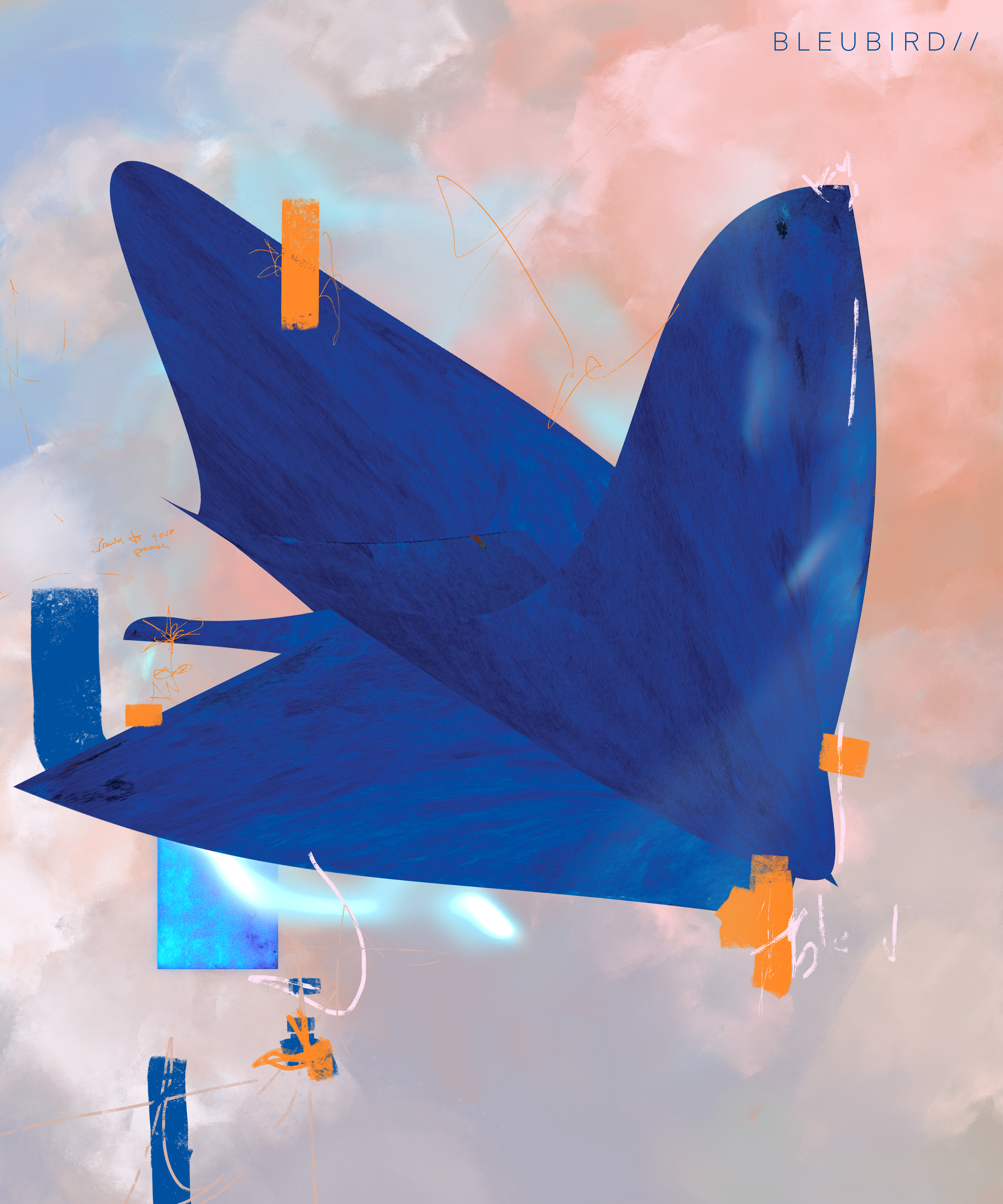 B L E U B I R D / /