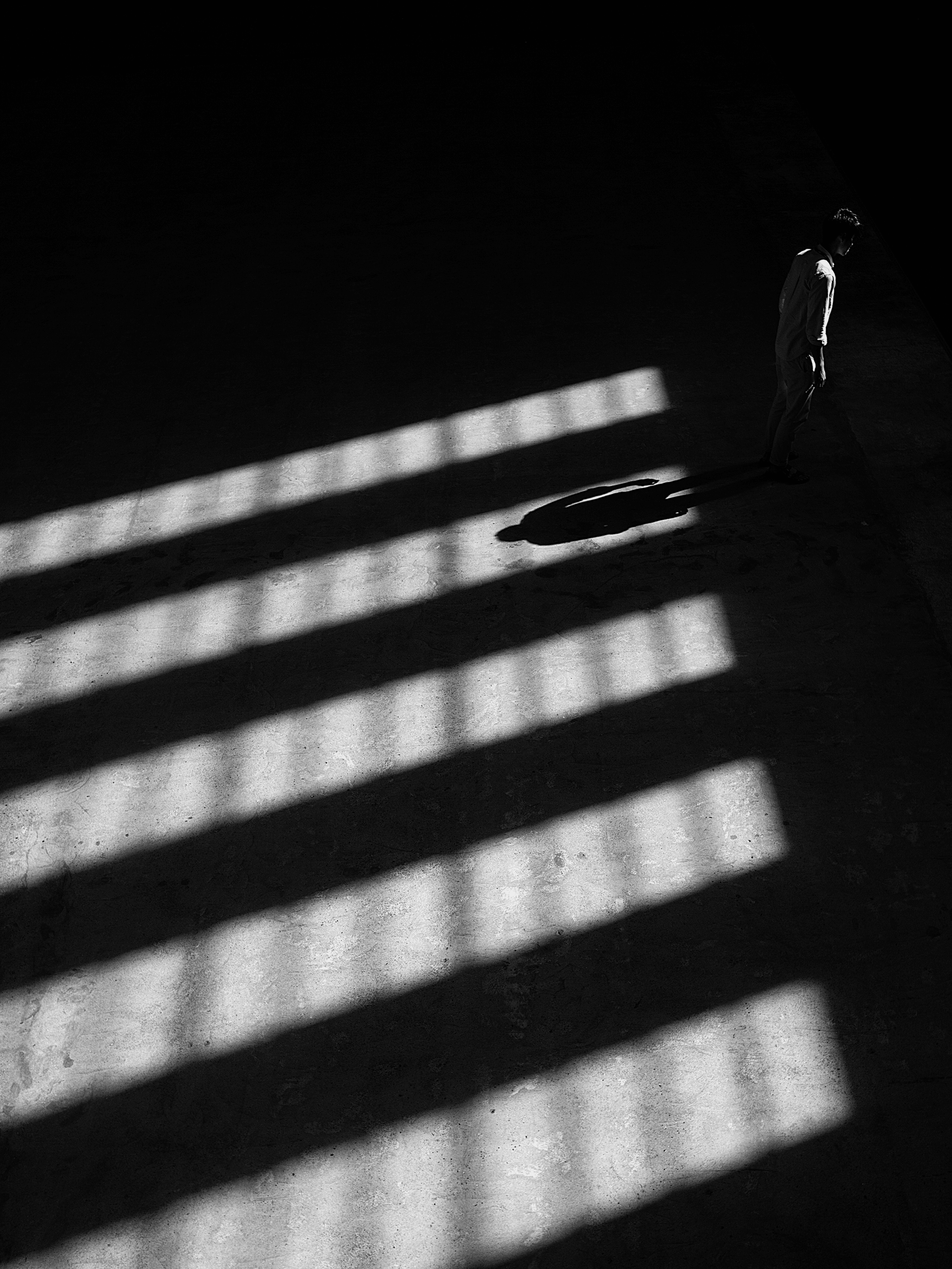 White Lines #8 - In The Shadows