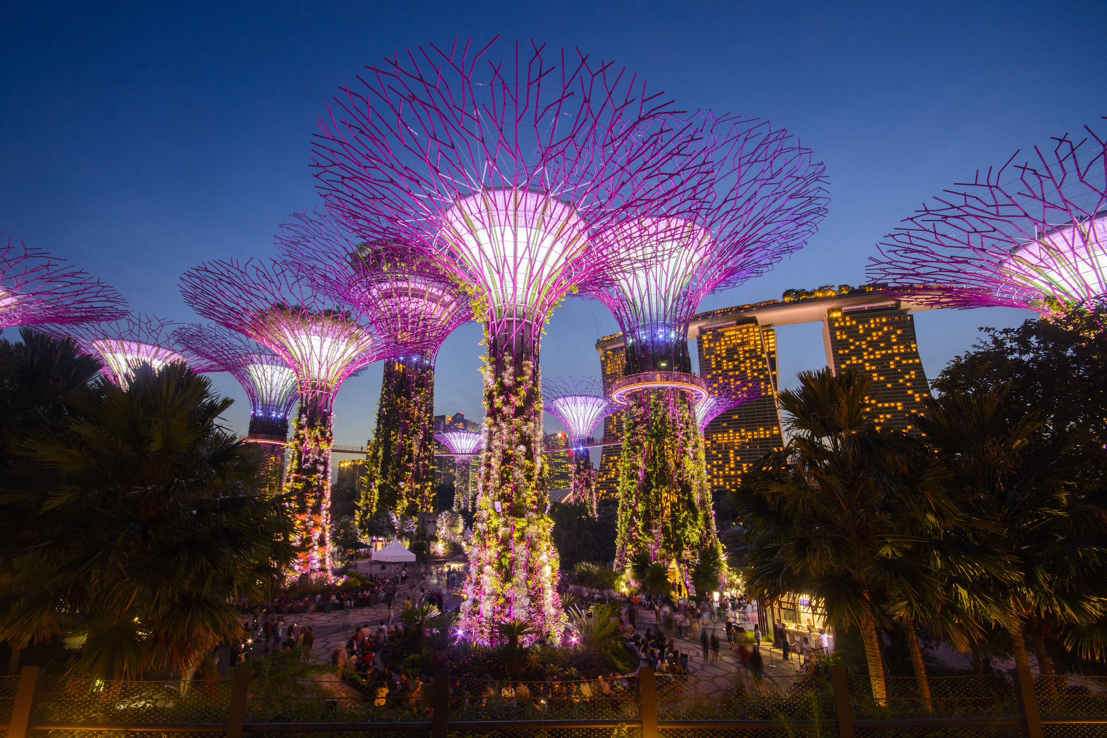 A Picture in Time #35