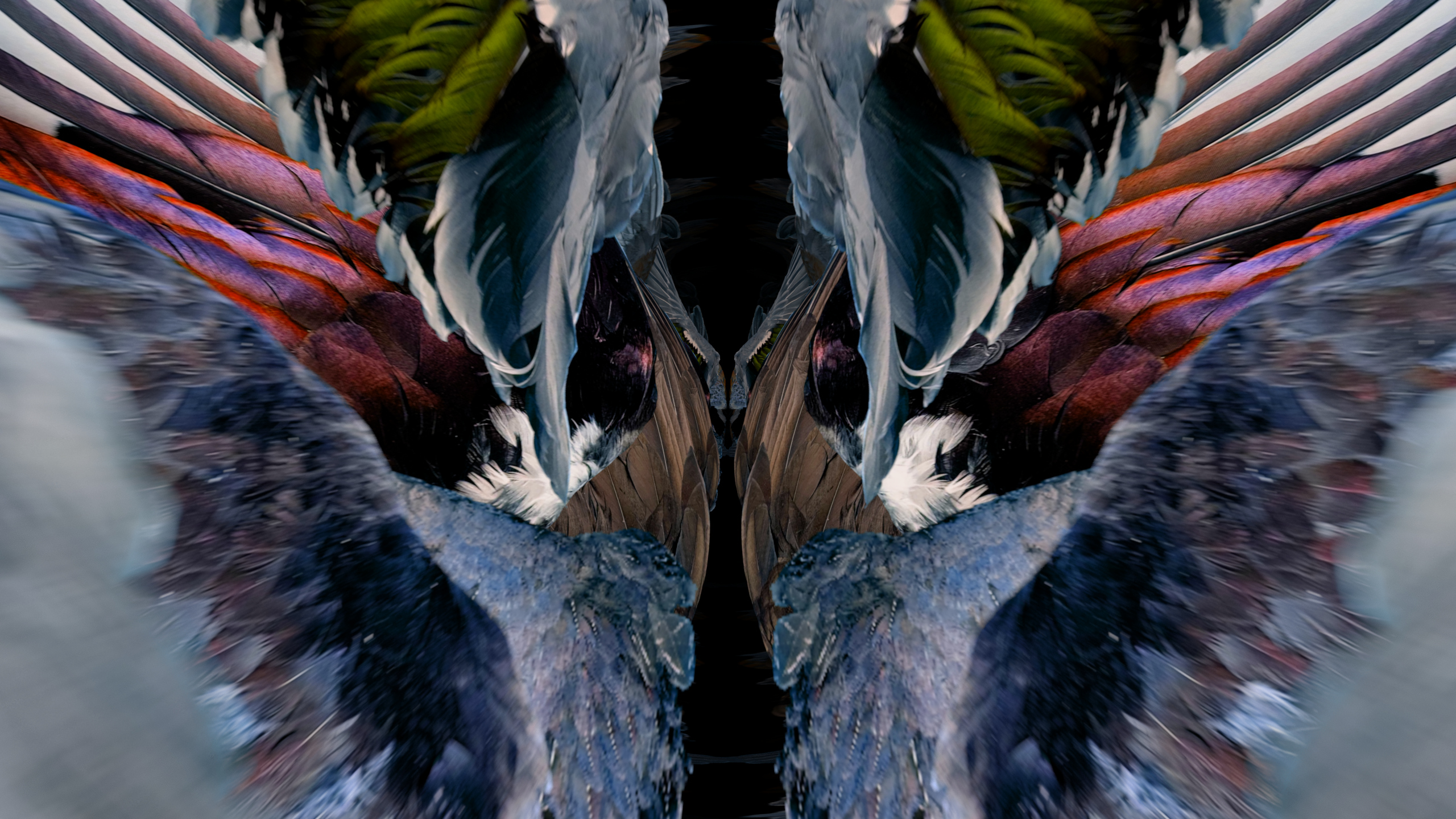 Fuga delle Sirene XXX