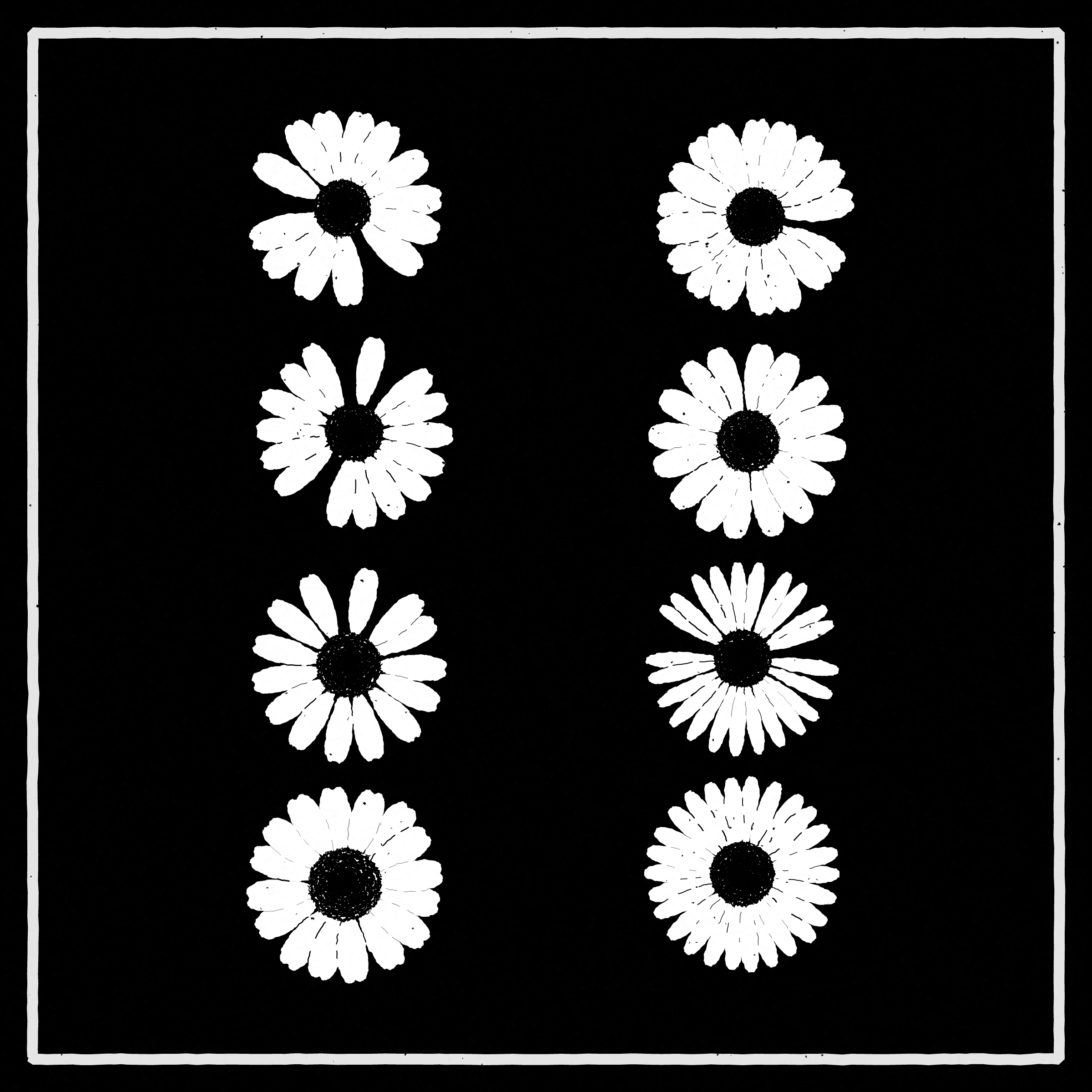Daisies #8
