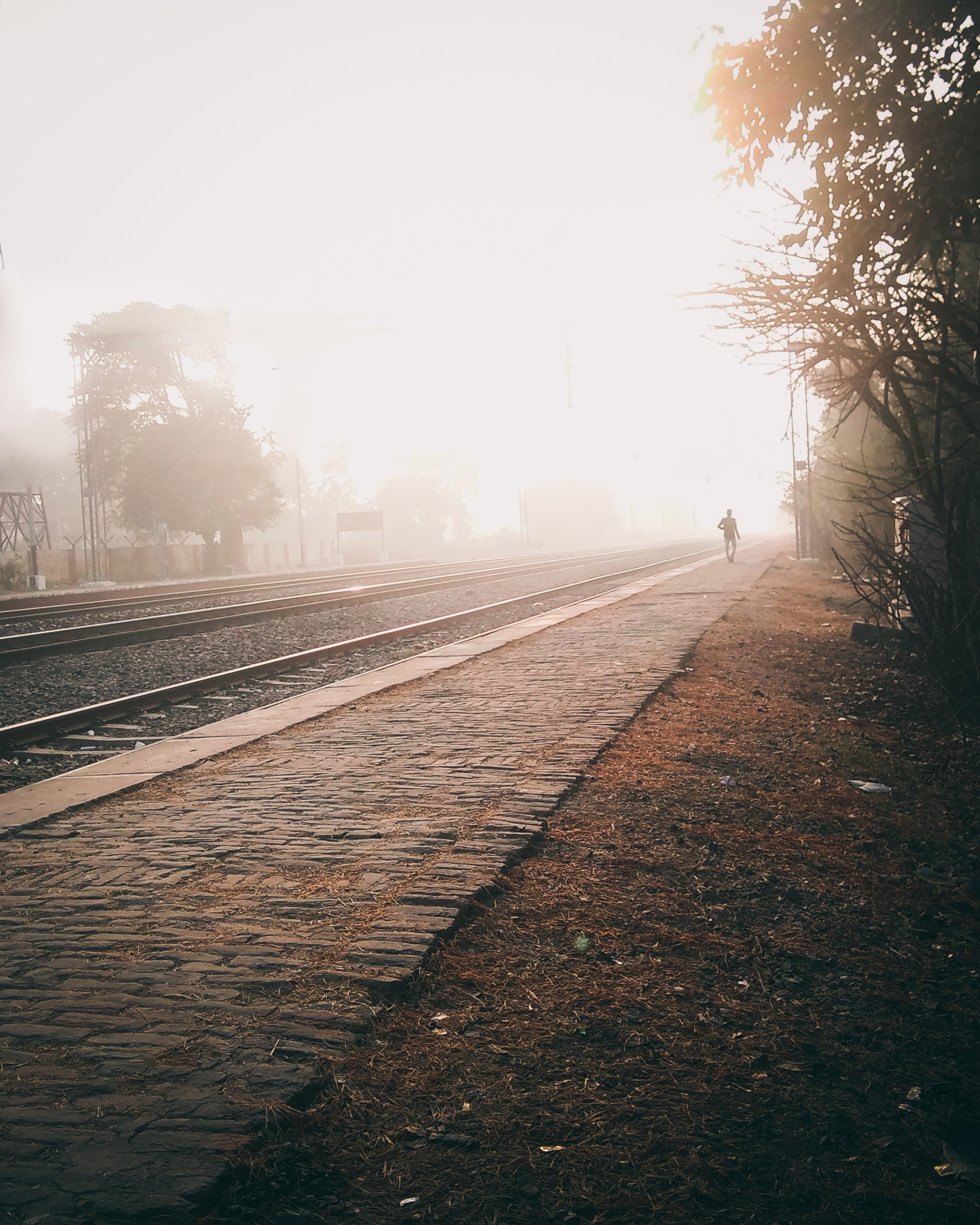 Lone Ride