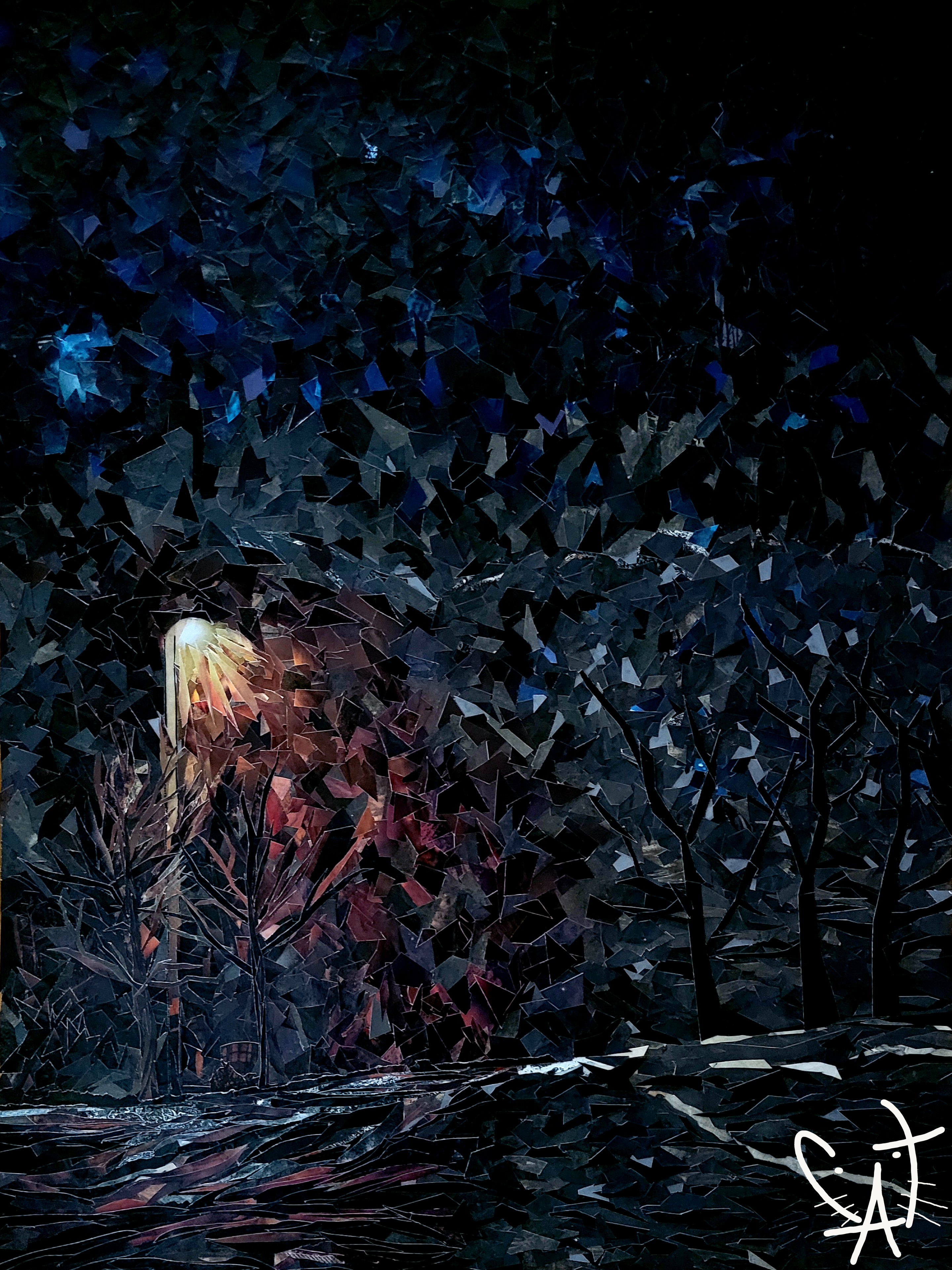 Dark Adaptation (Signed)