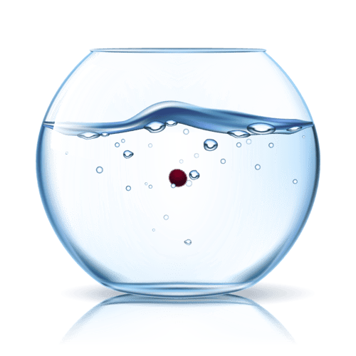 marimo #2240