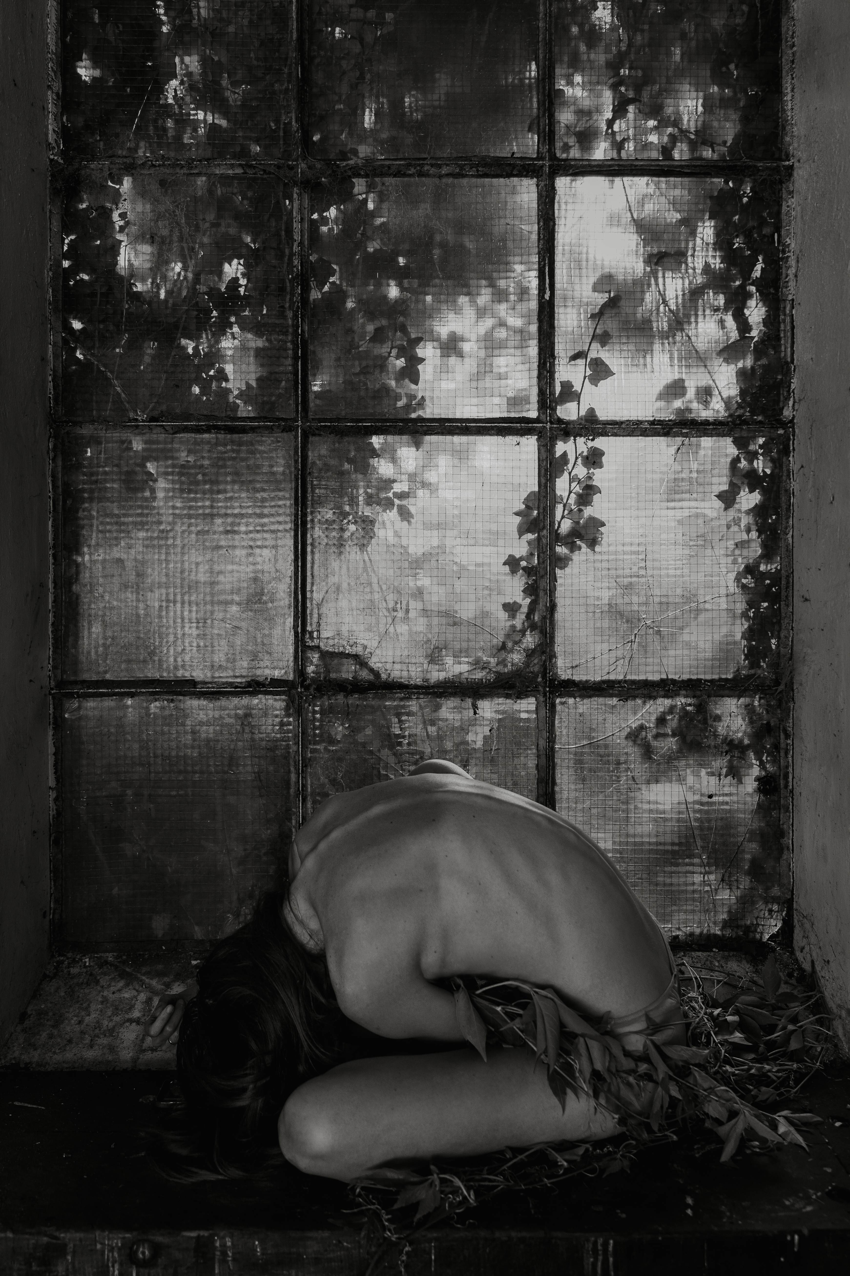 Nature's Remembrance 7