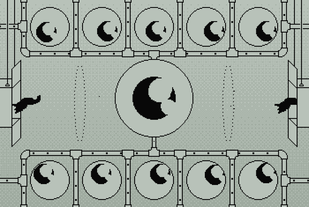 watching the watcher