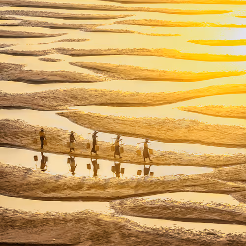 Patterns of Irrawaddy