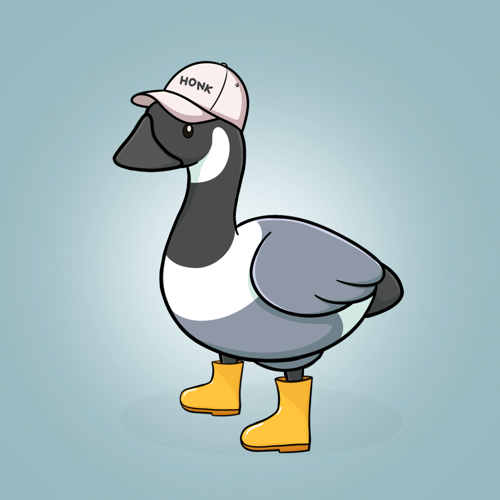 Honk #1903