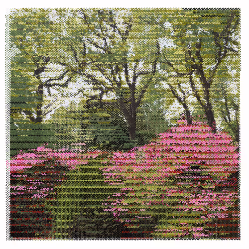 Isabella Plantation 1:53 PM