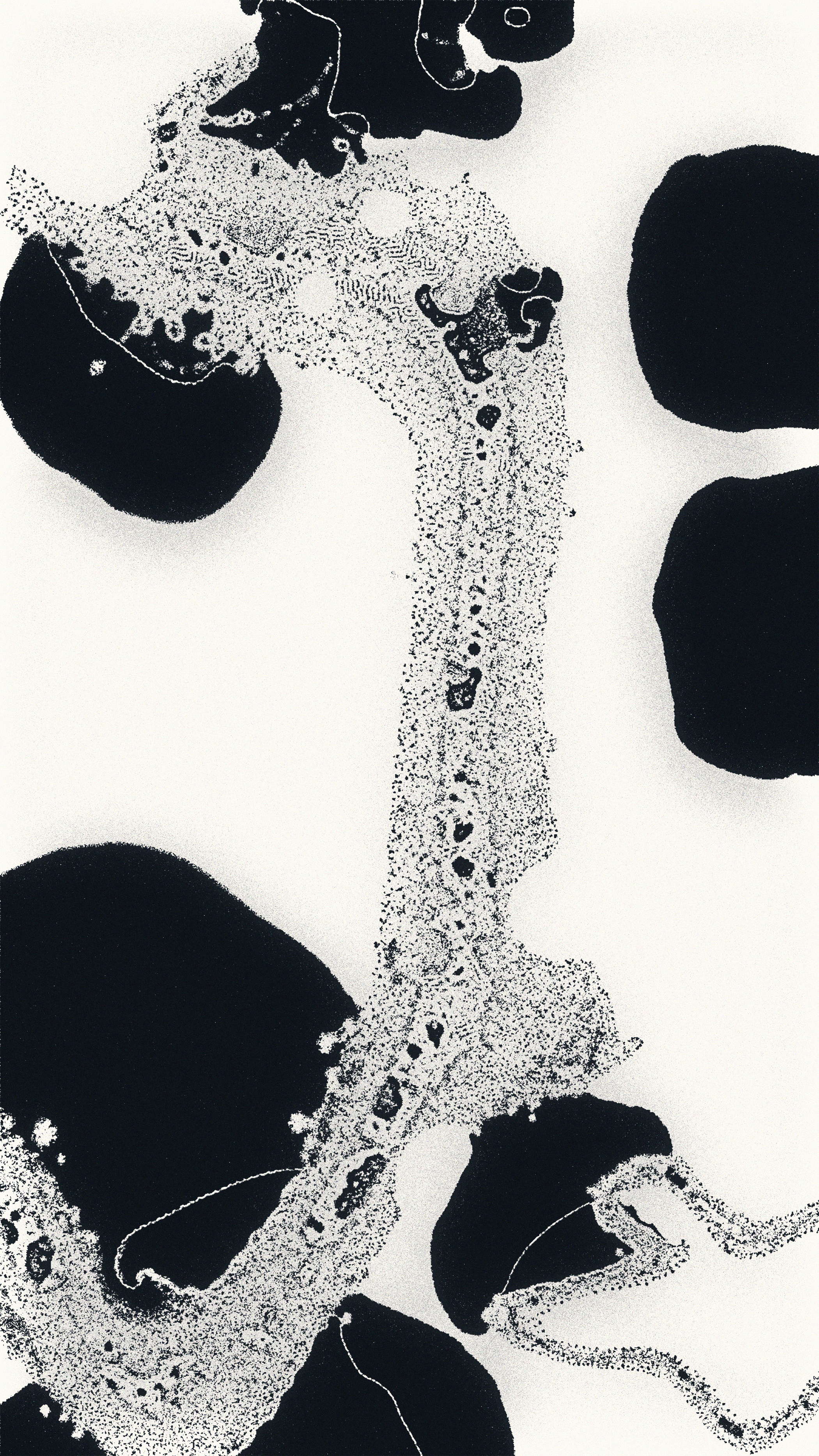 Water Studies #2