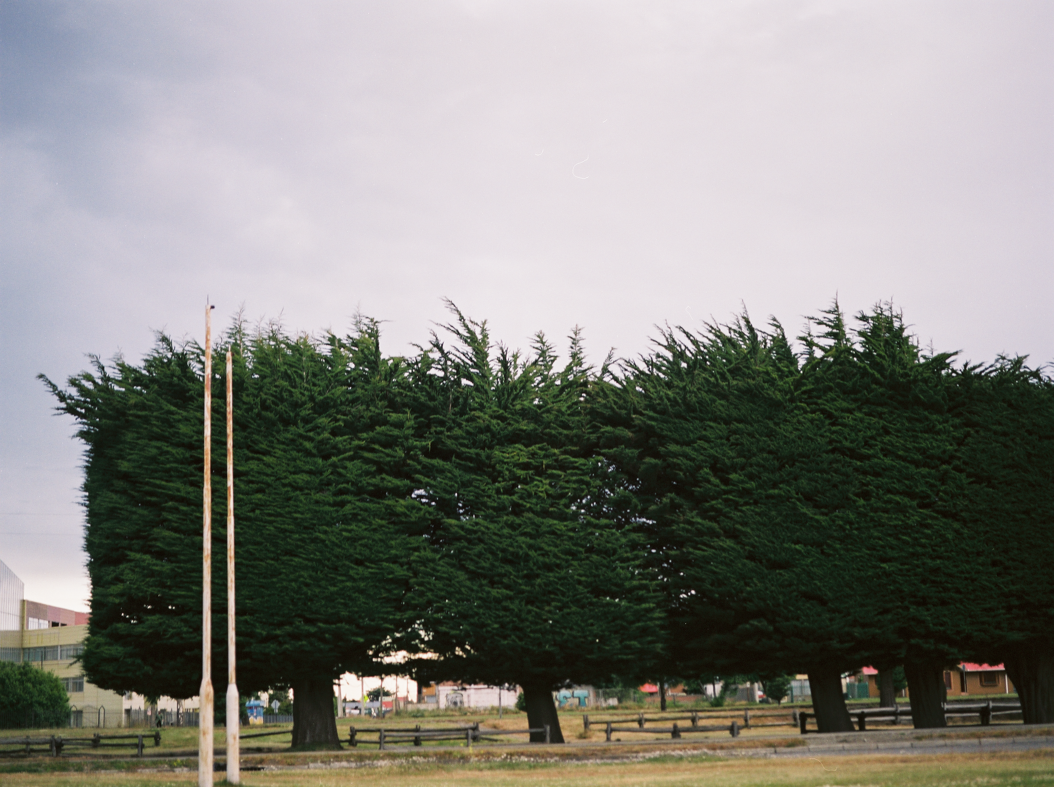 Wind