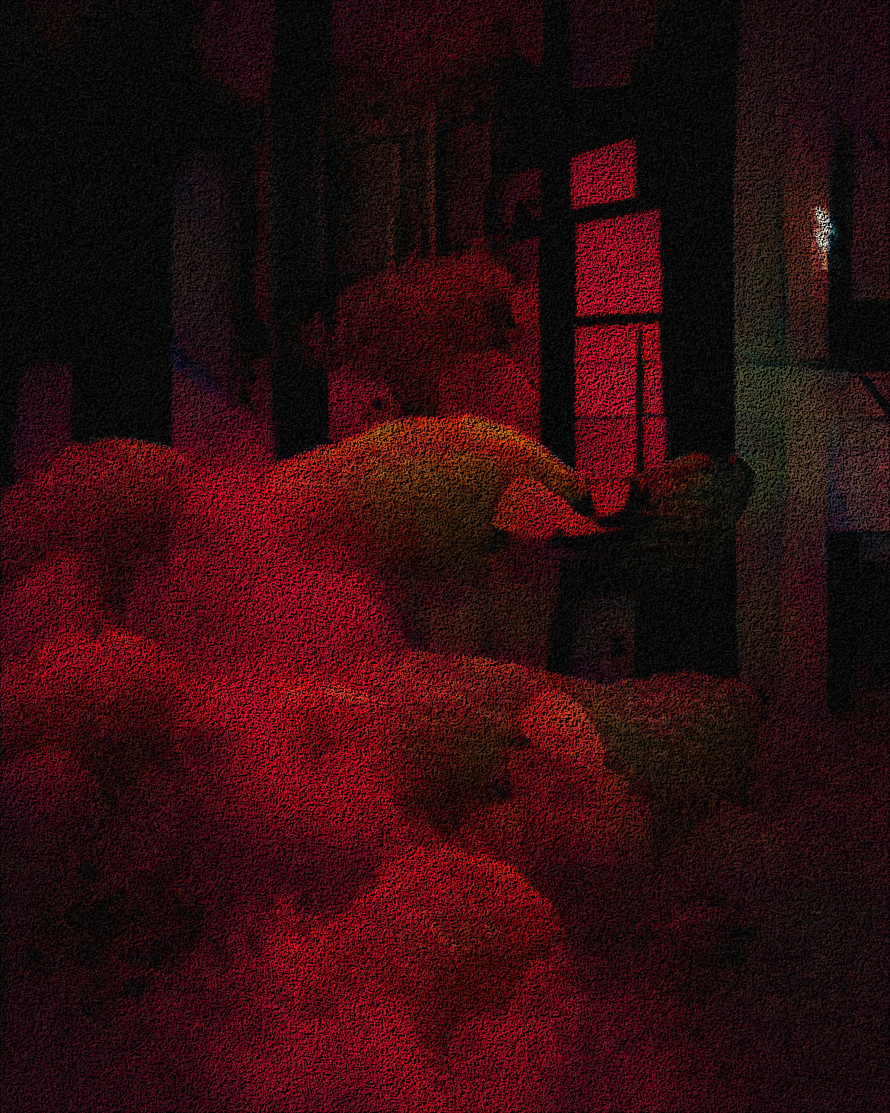 Nondescriptives | #0