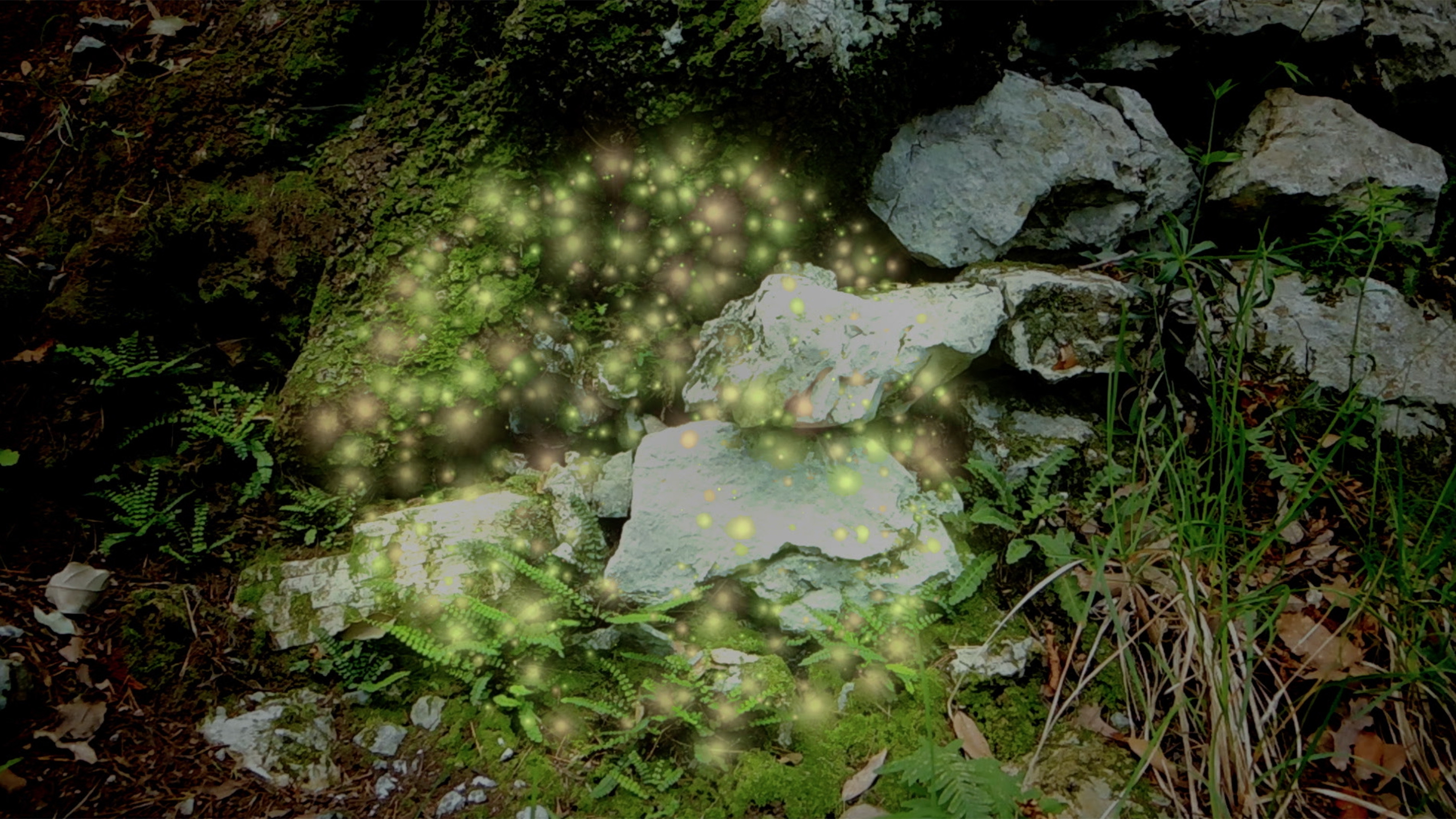 Fiammelle | Out to Shine