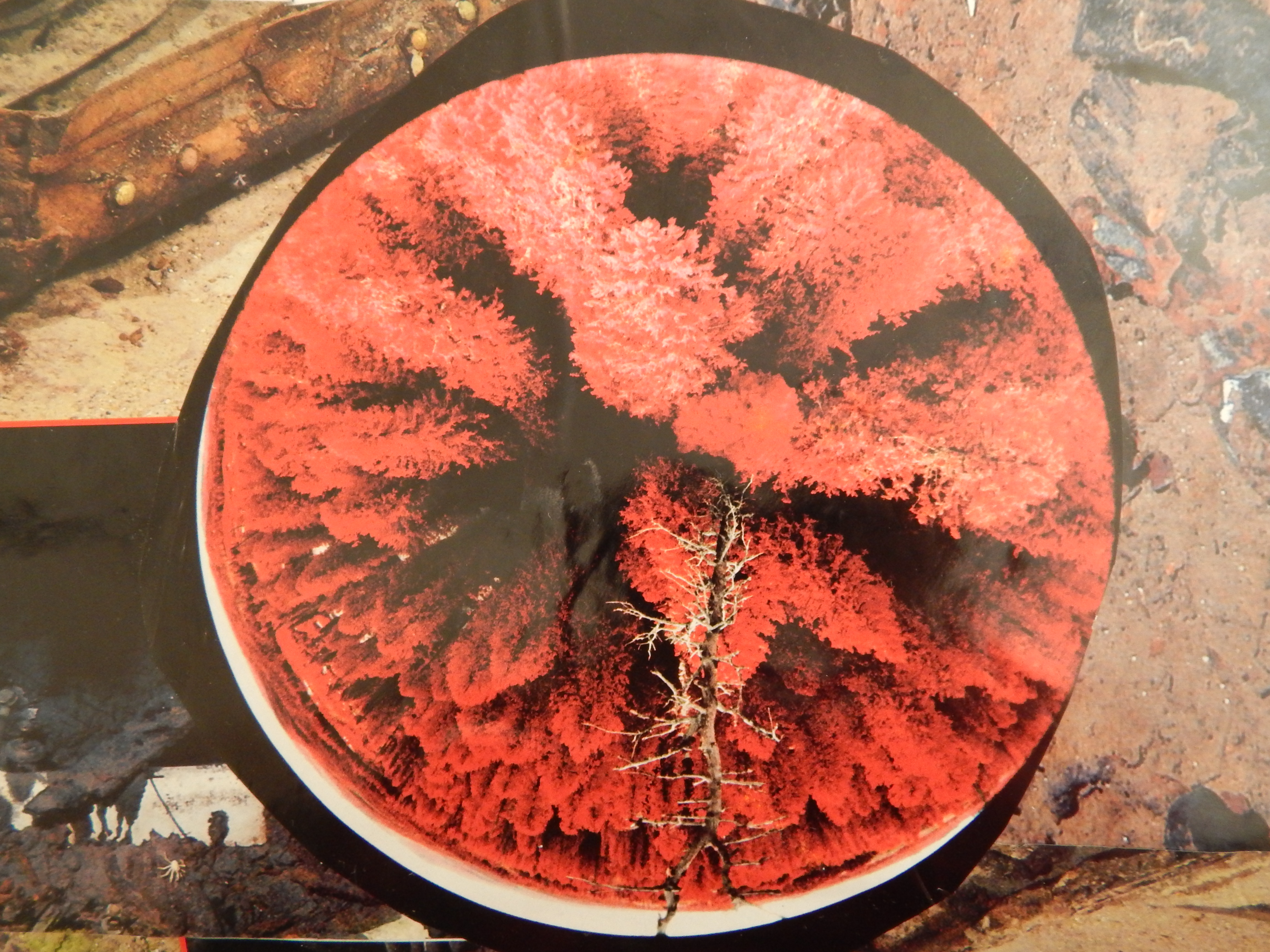 mumbai tummy ache 18/25