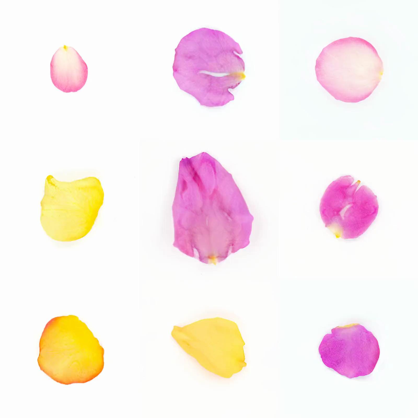 Infinite Petals 3x3#20096