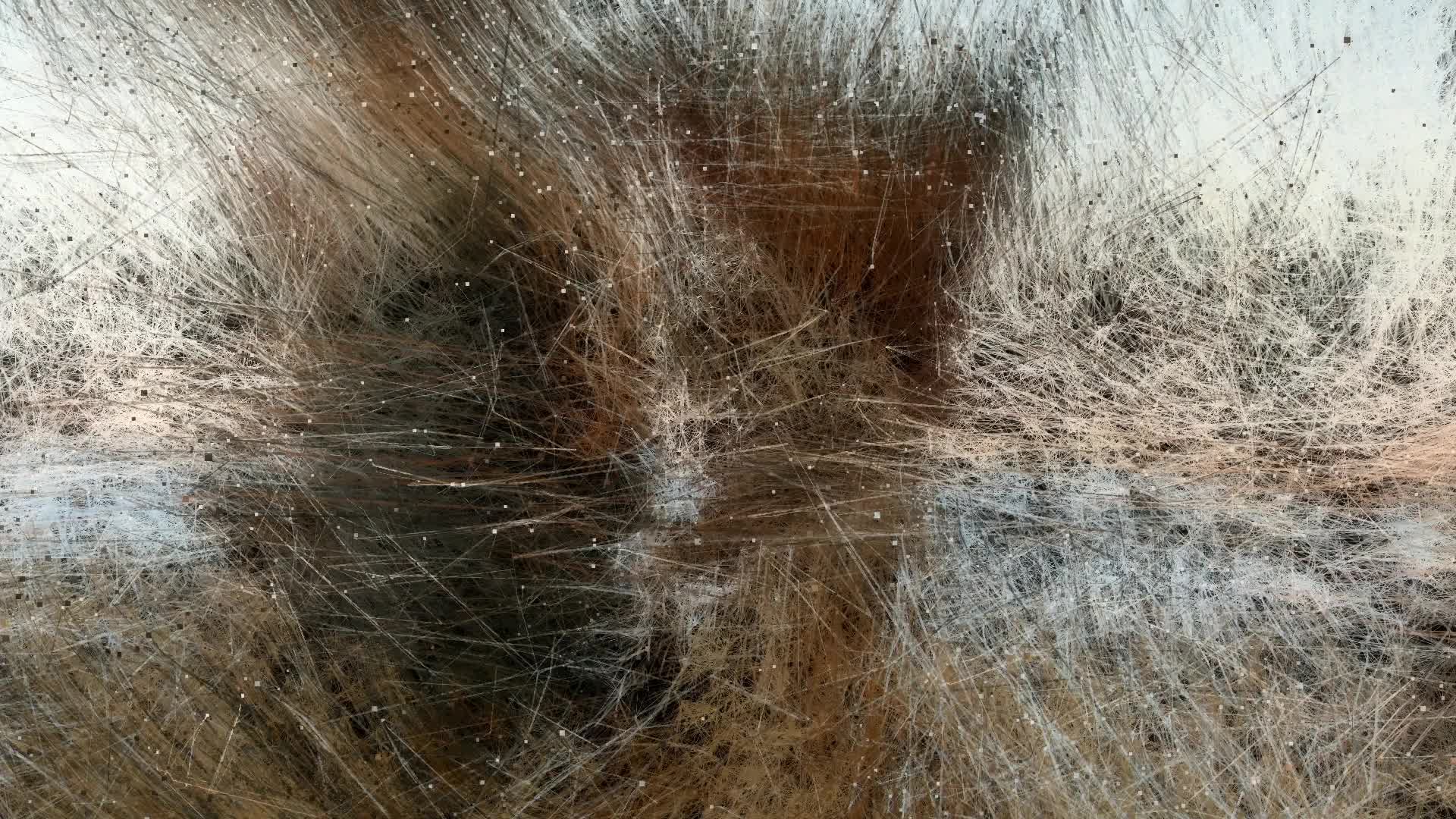 Cada Año (Celia Castro)