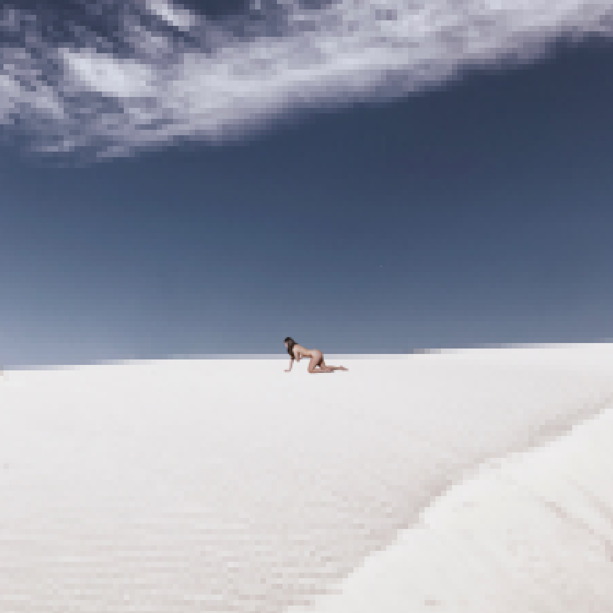 Nude Pixels in Nature_021