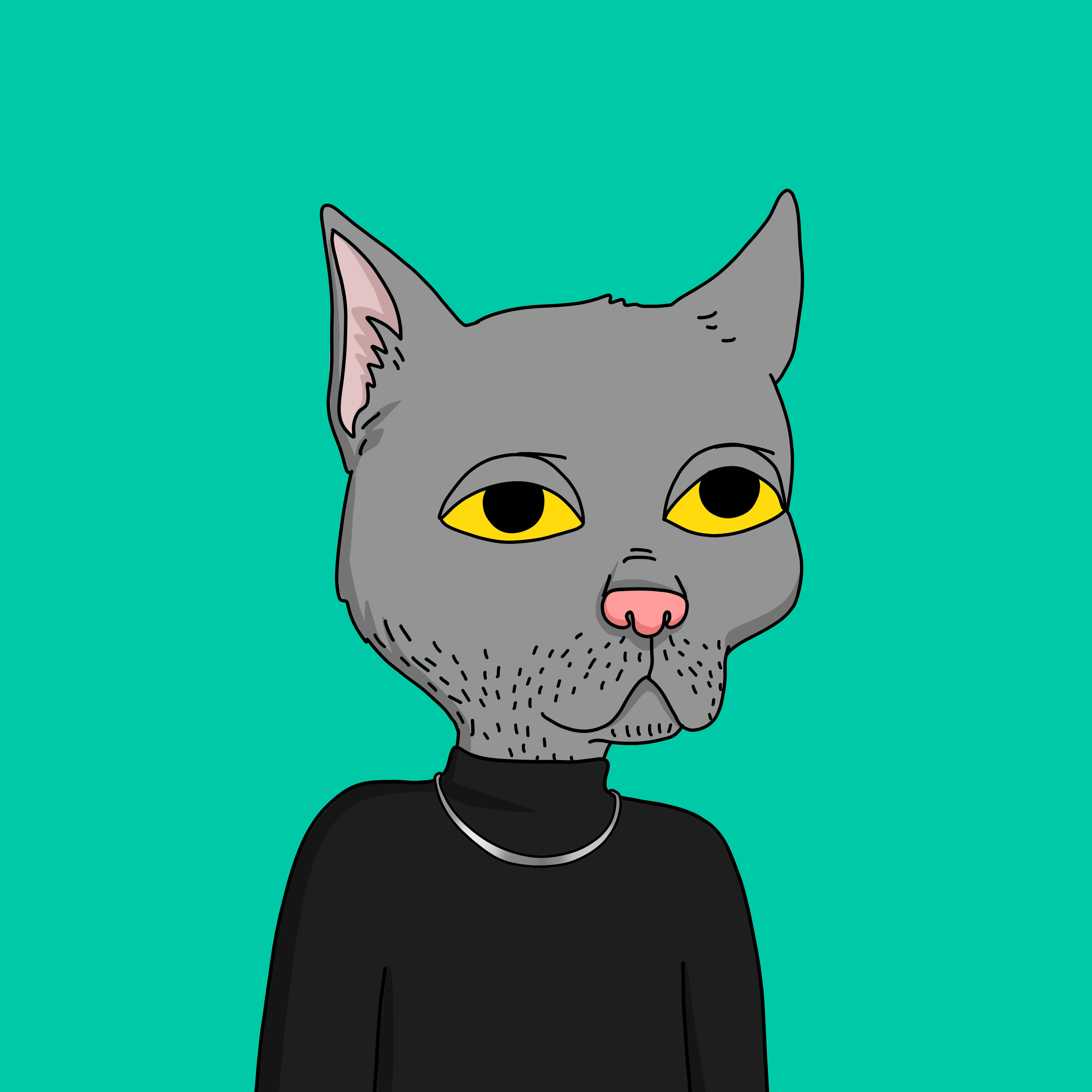 5211.eth Ethereum Name Service (ENS and .eth domain) PFP