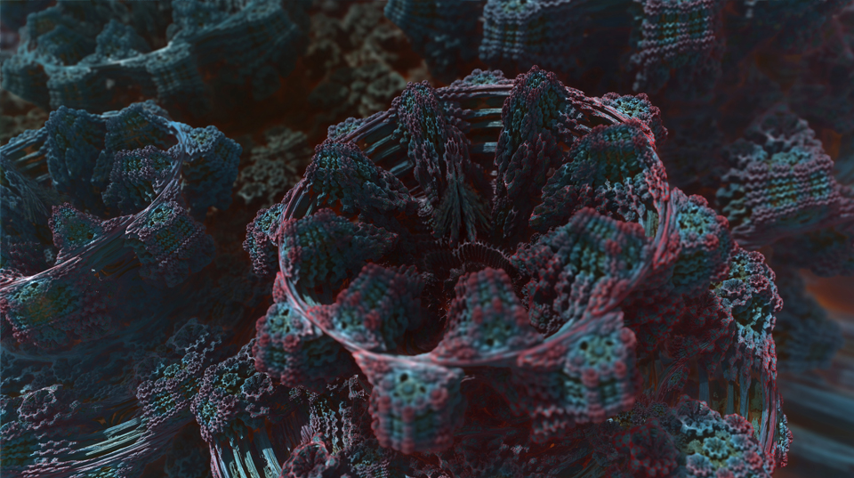 Octagonal life forms