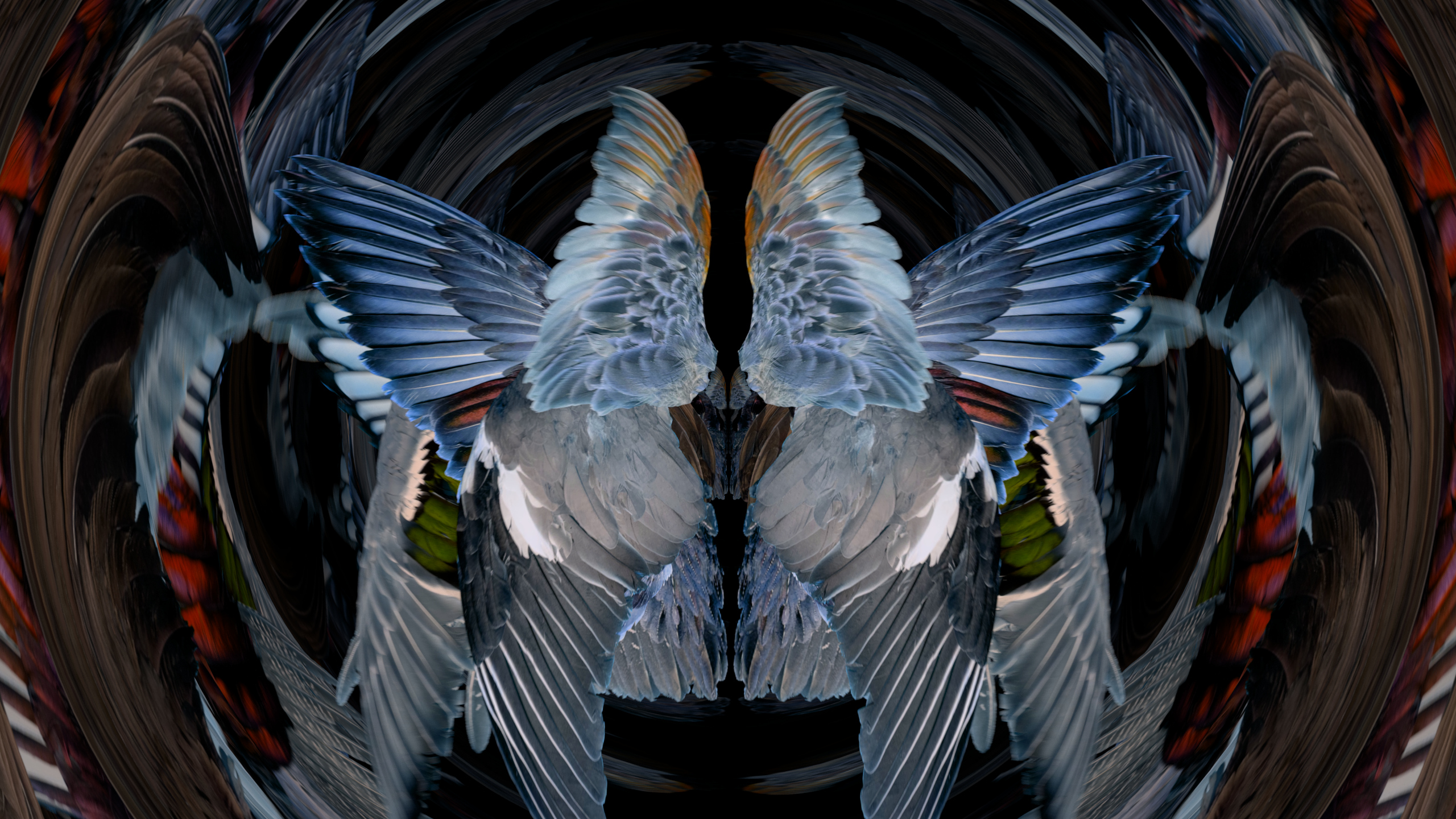 Fuga delle Sirene XXV