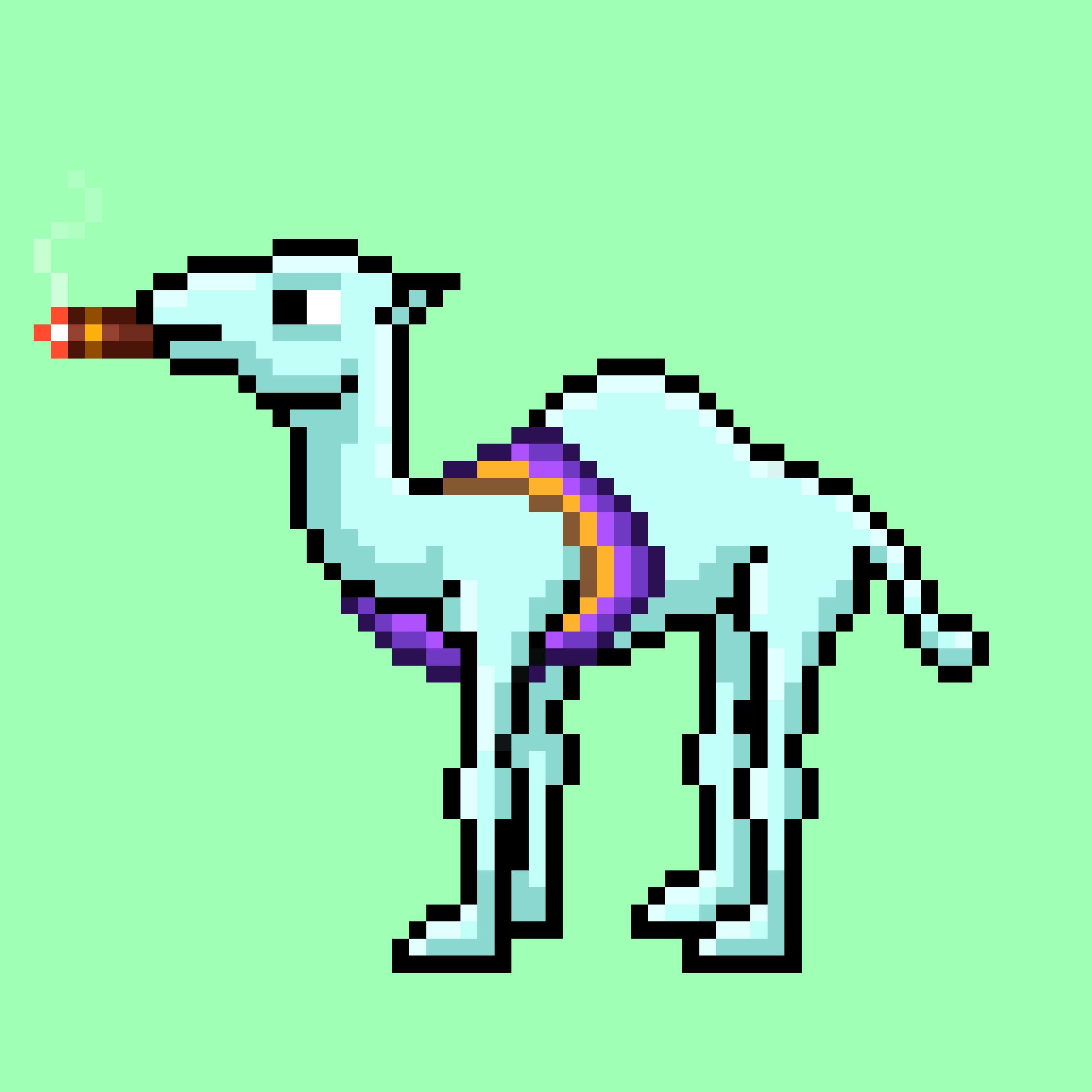 CryptoCamels #1702
