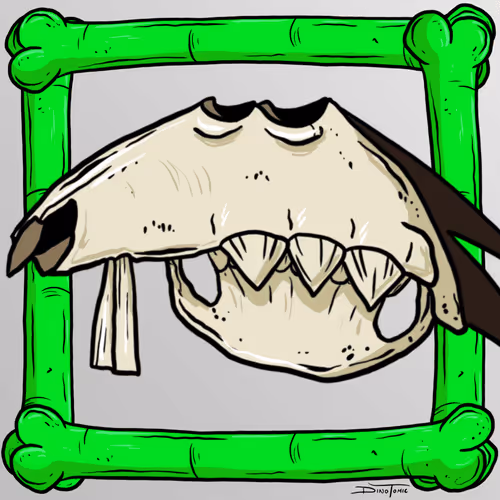 SKULLS#9140