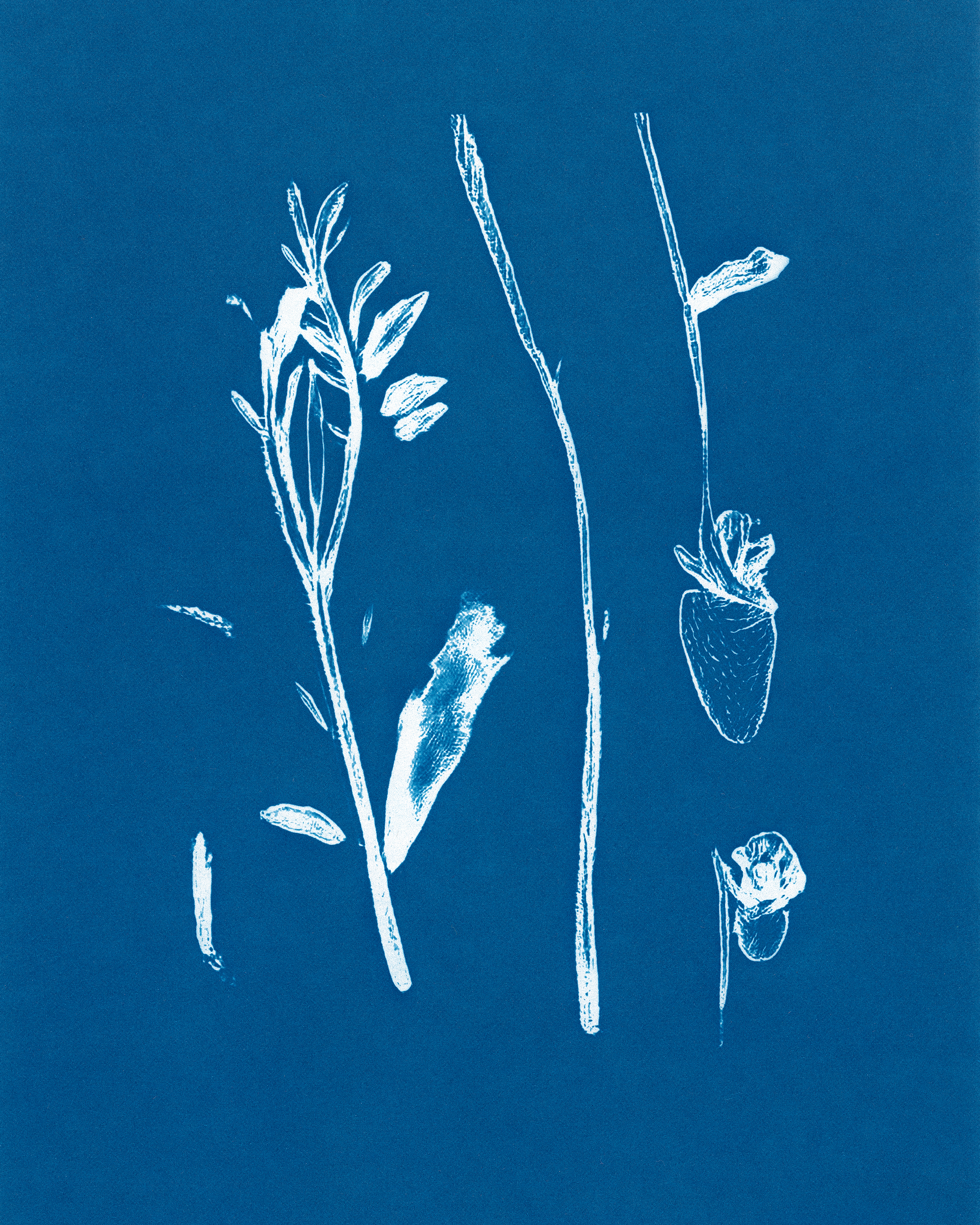 In Translation #12 by Claudia Pawlak 