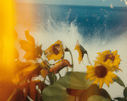 Tsunflower Chaos #184