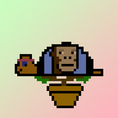 Qwerty Turtles #680