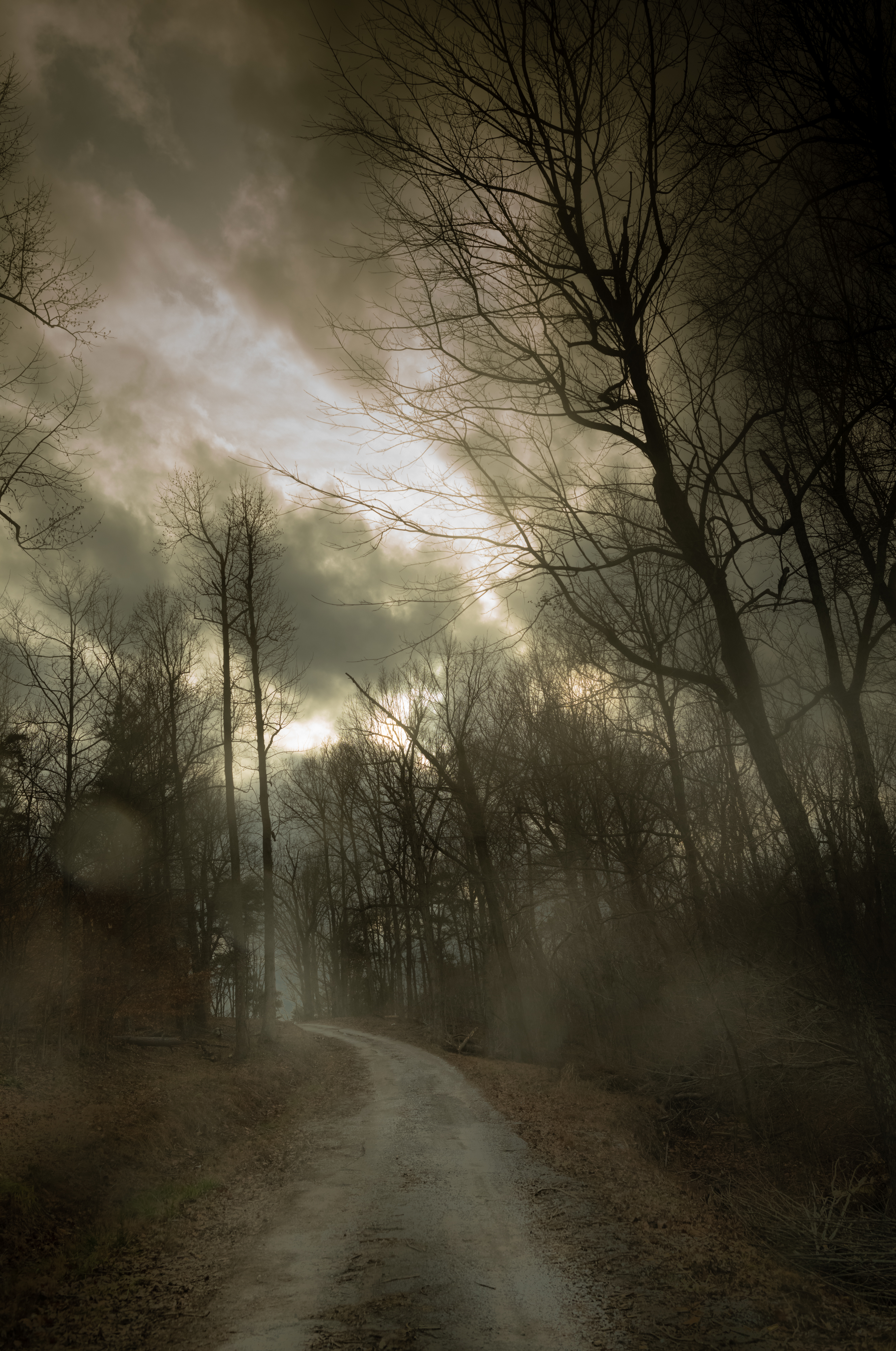 The Black Mechanism #12 (Untitled 12078-1175) by Todd Hido