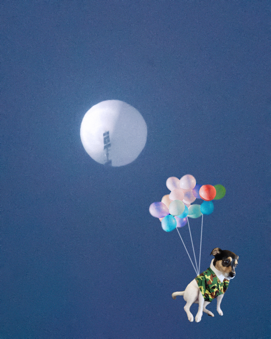 Beans and the international incident