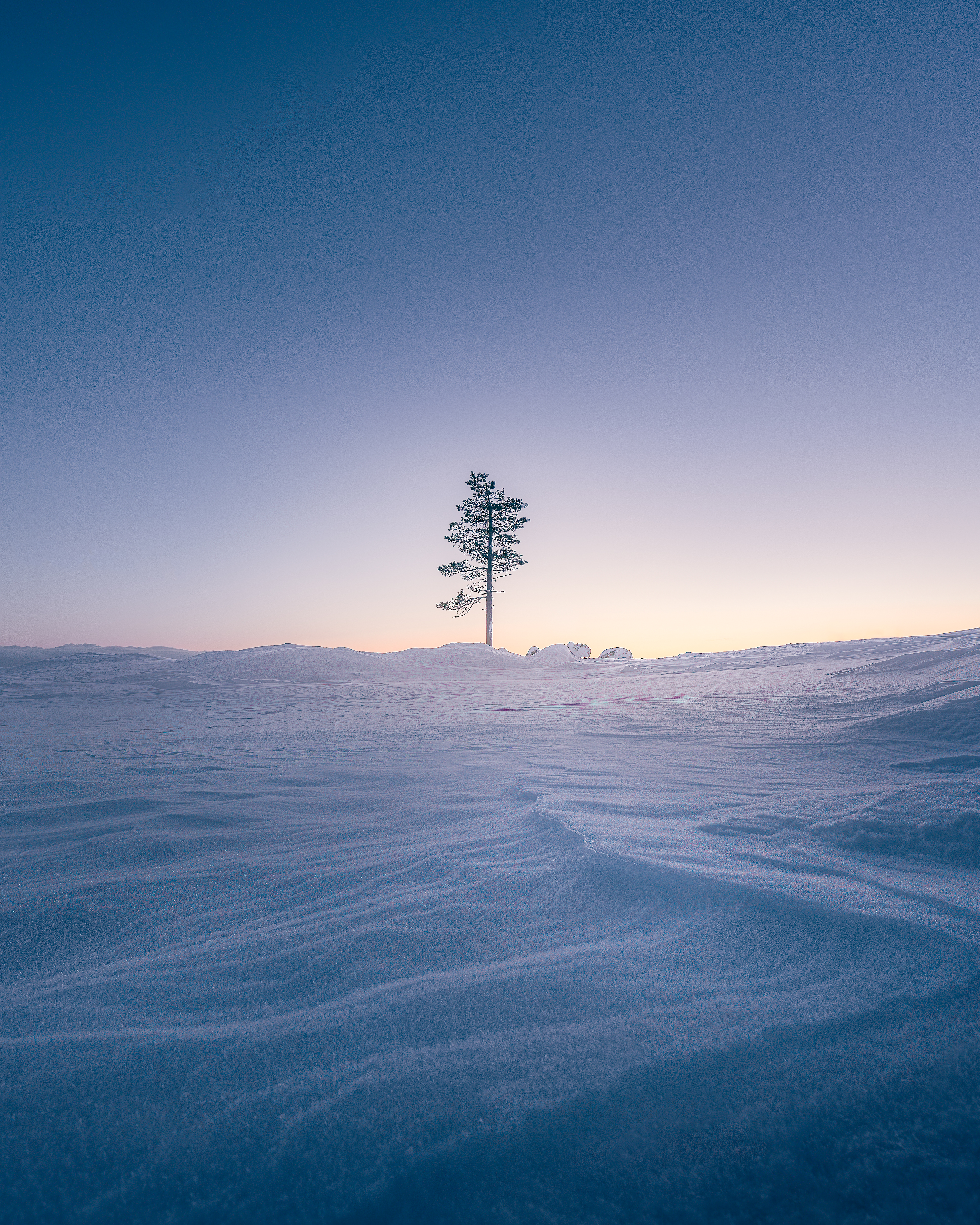 The North Awakens #23/50