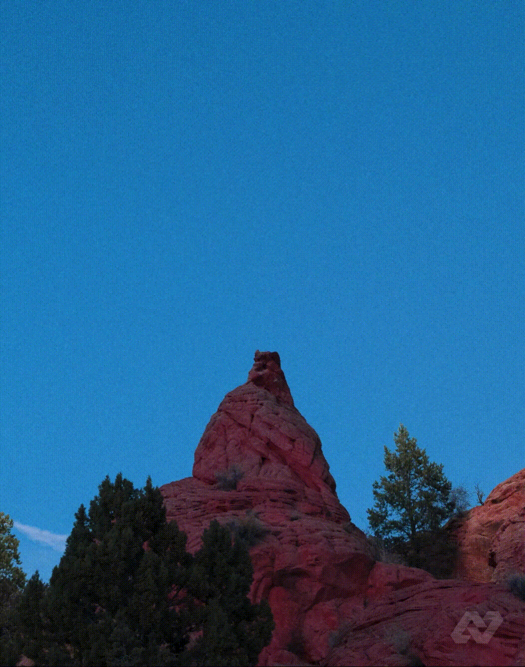 SET THE CONTROLS: REUBEN WU