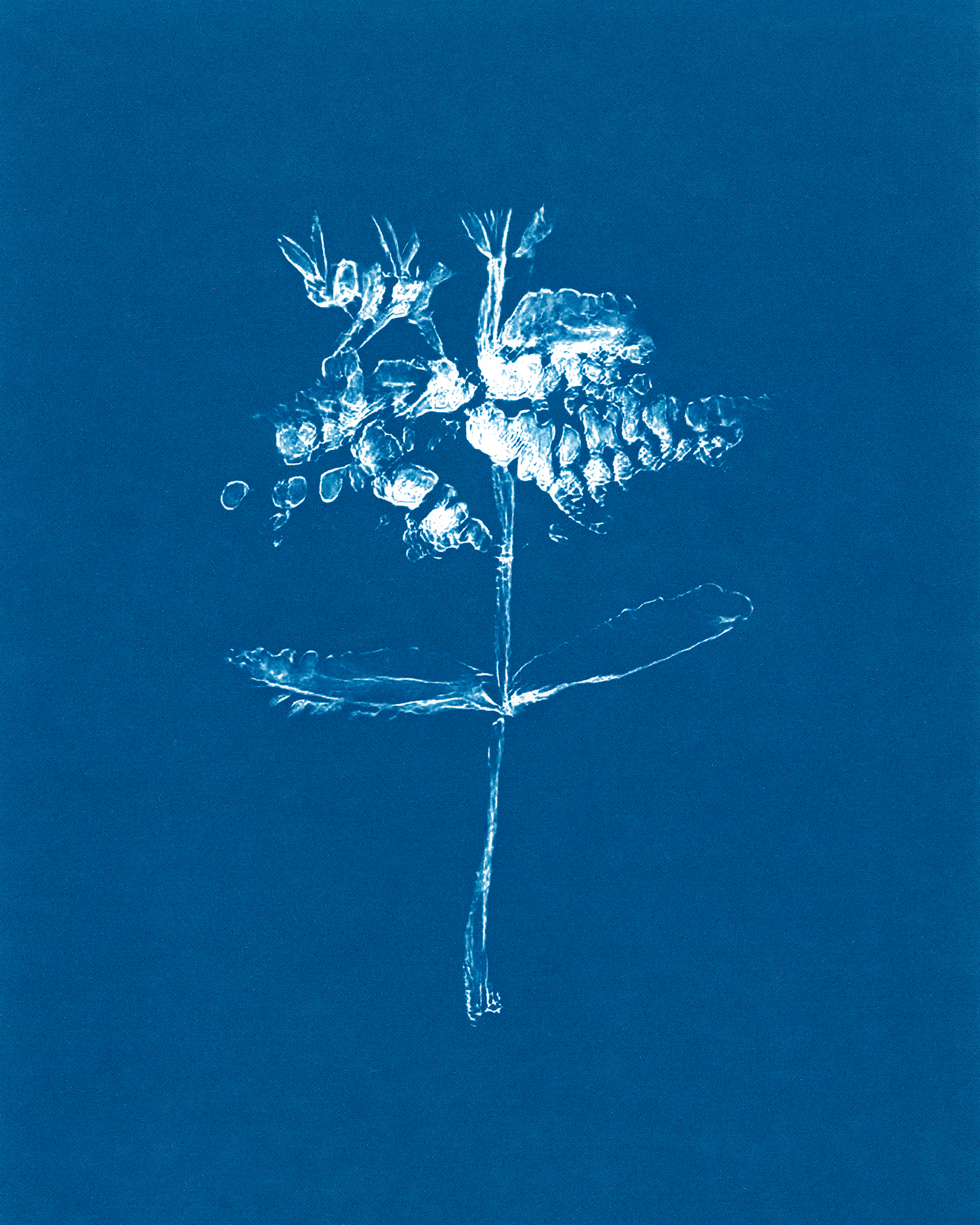 In Translation #15 by Claudia Pawlak 