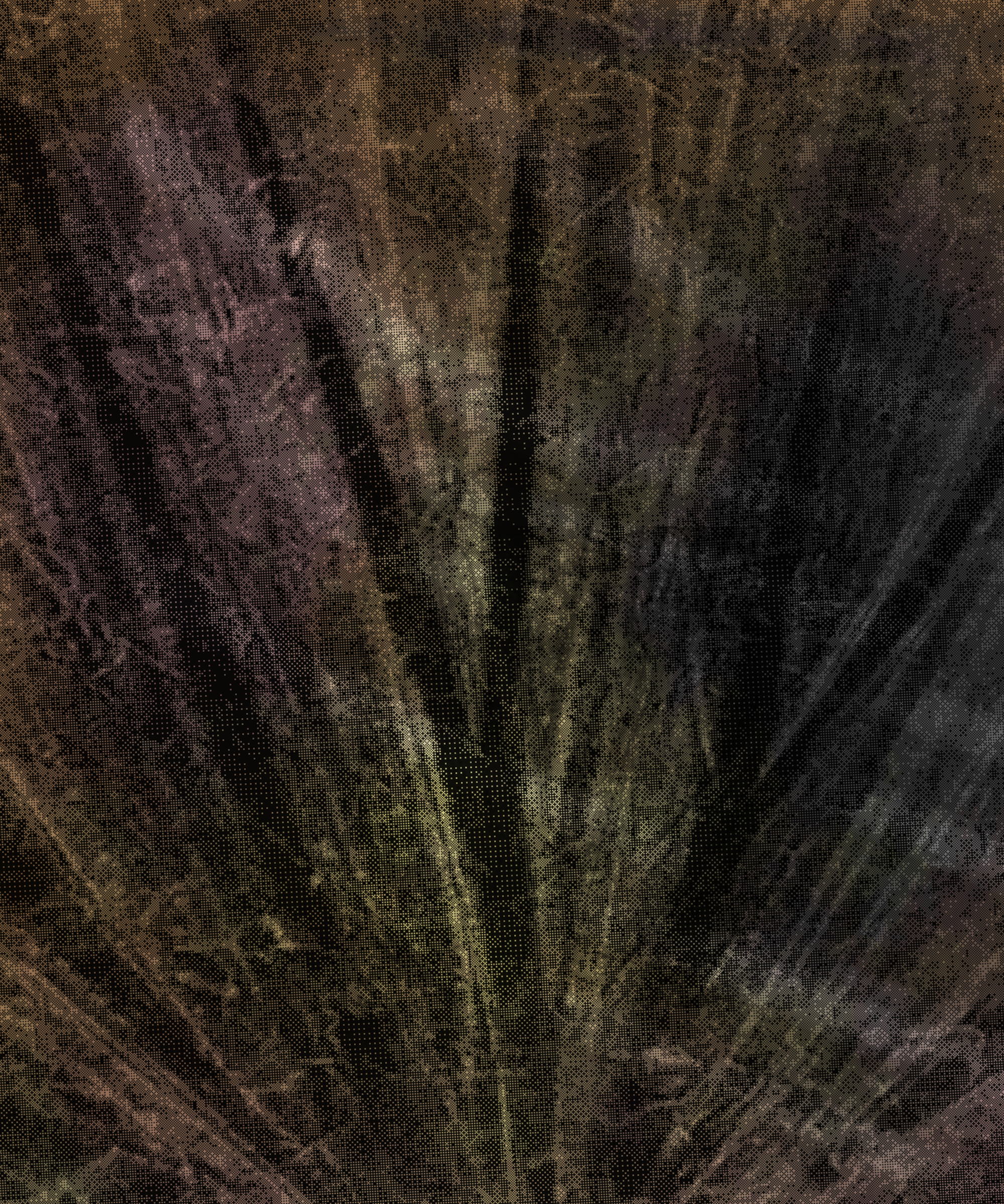 the spring begins with the first rainstorm #348